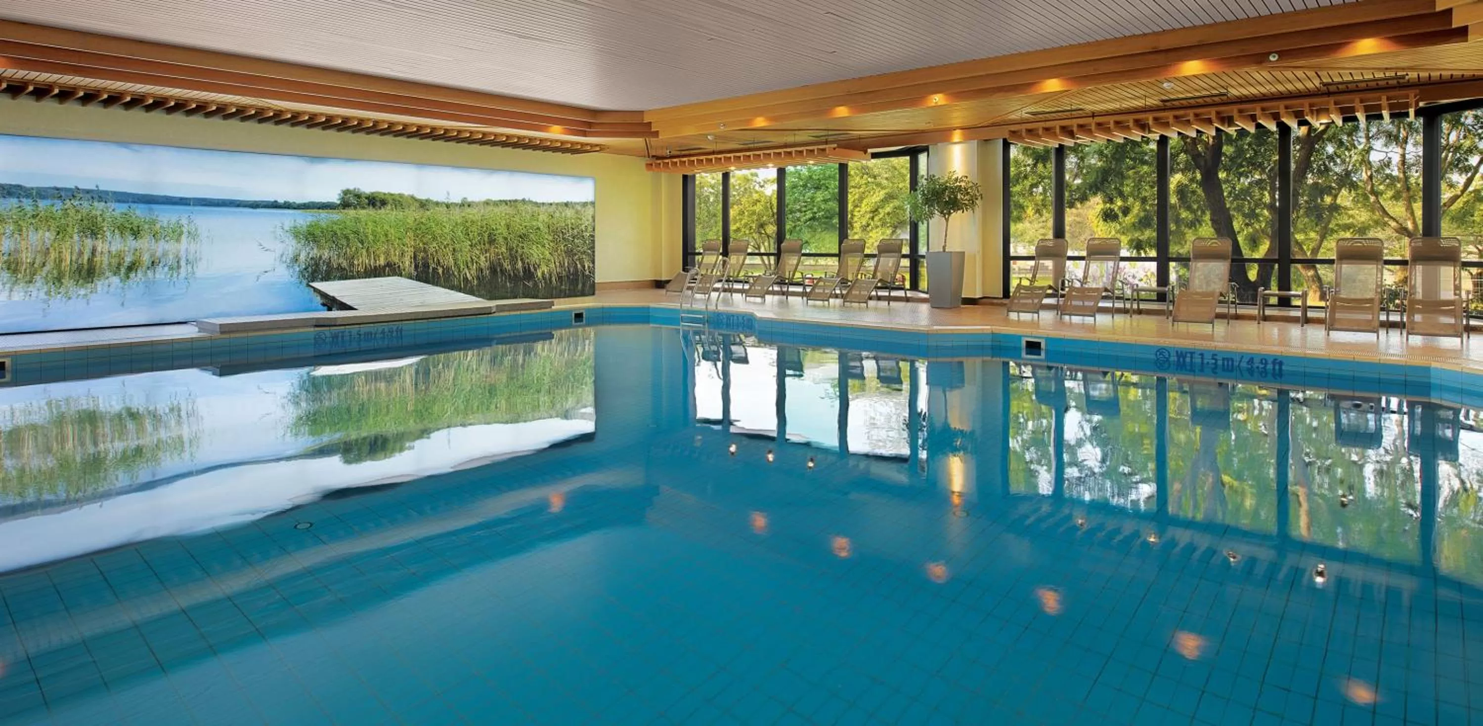 Swimming pool in Bilderberg Bellevue Hotel Dresden