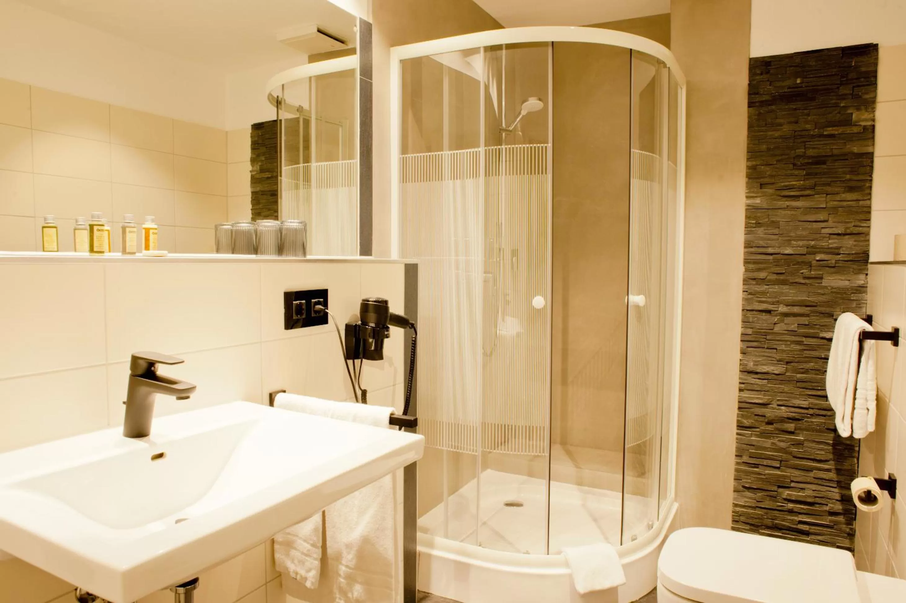 Shower in Hotel Schweriner Hof