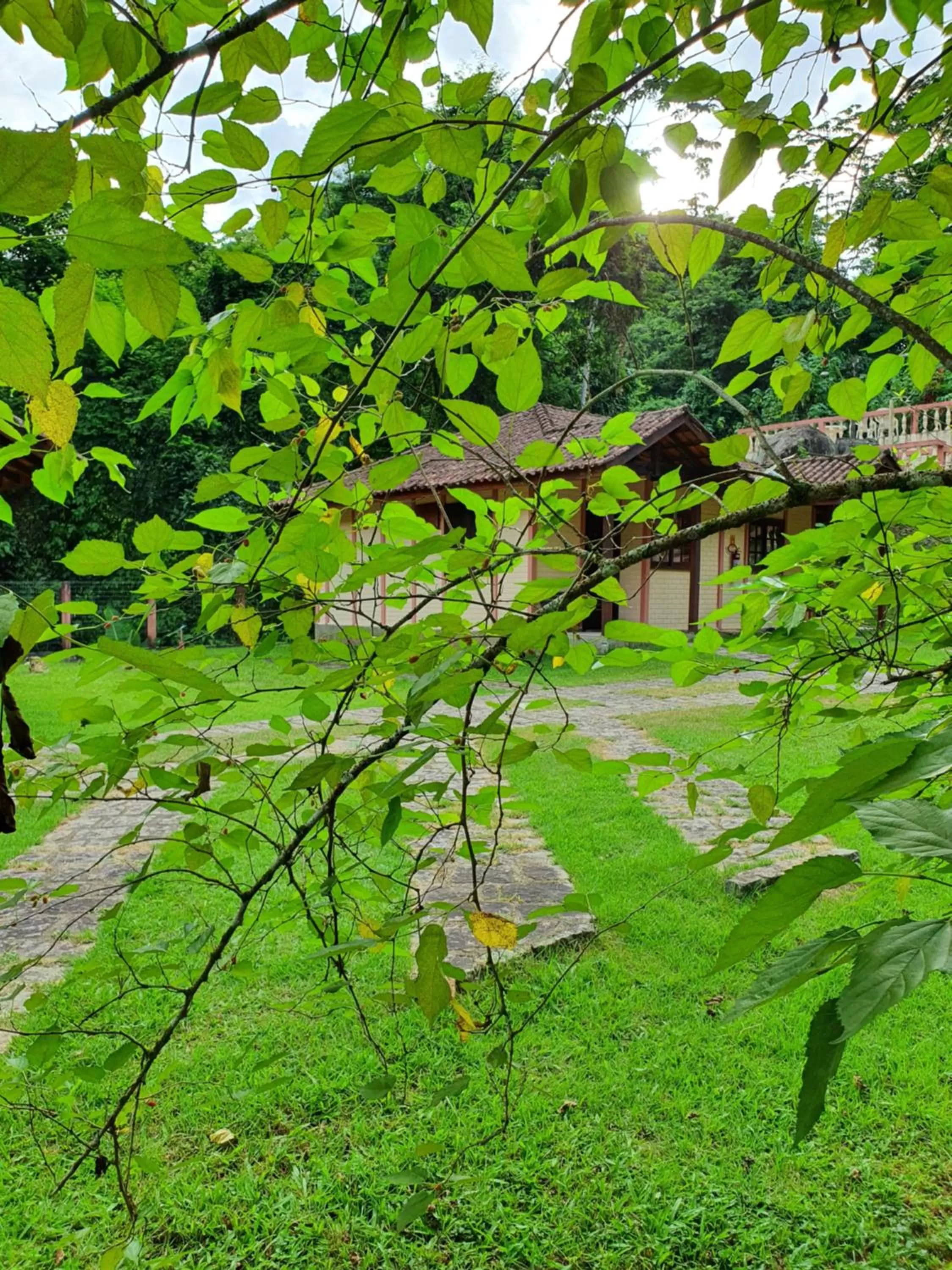 Natural landscape in Pousada Canto do Curió Paraty