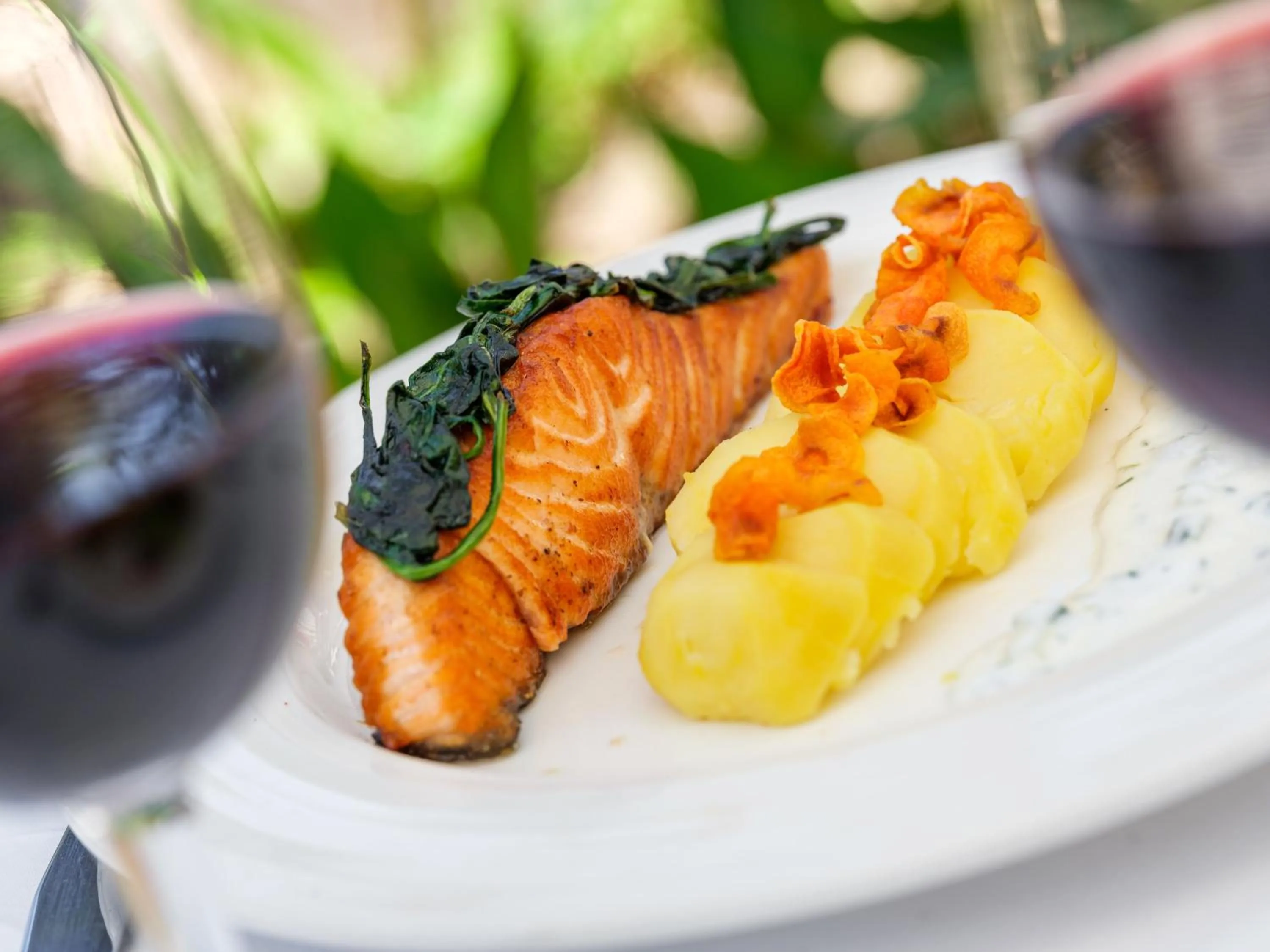 Food and drinks in Hotel Ciutat Jardi