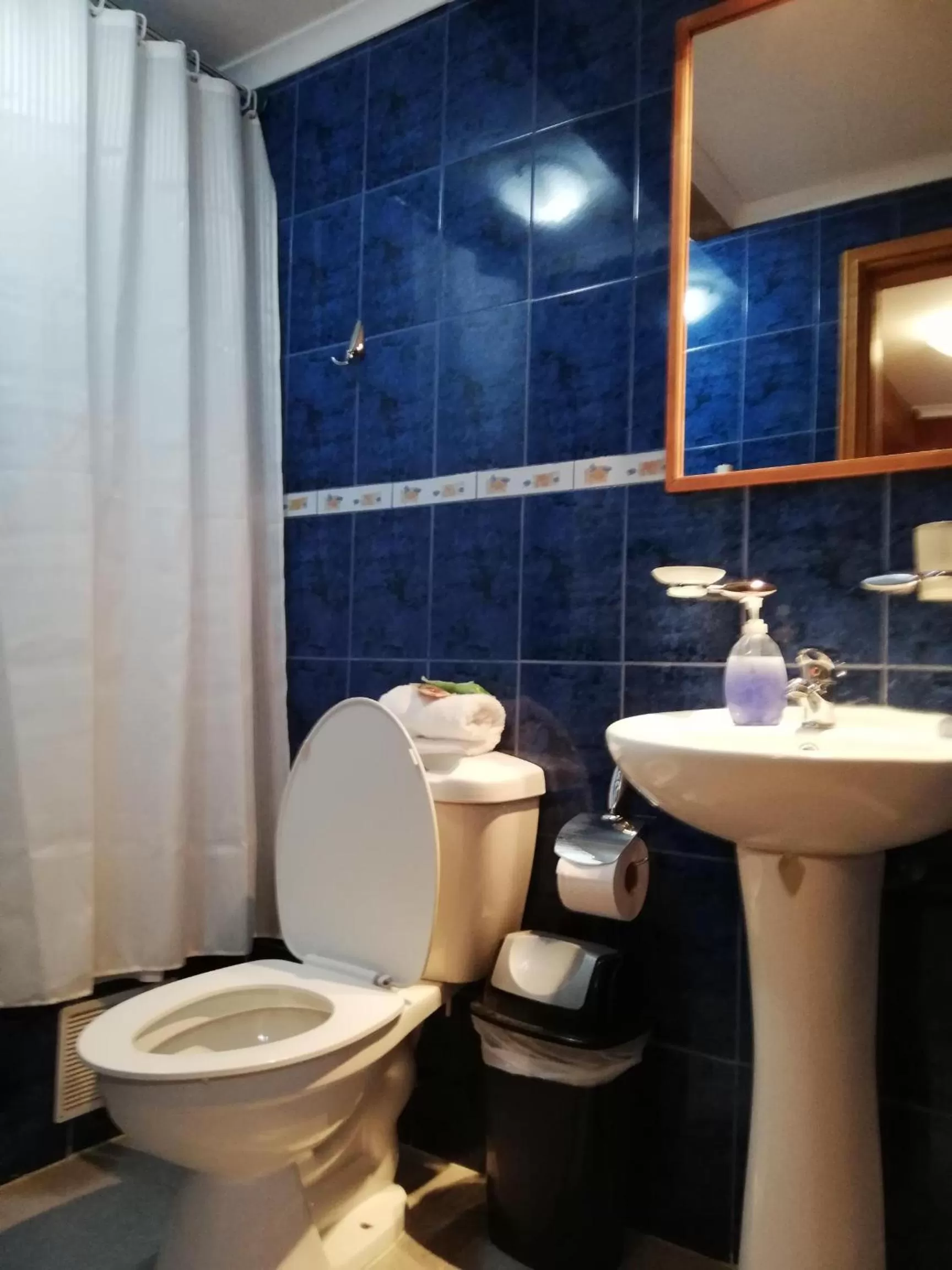 Toilet, Bathroom in Hostal La Base