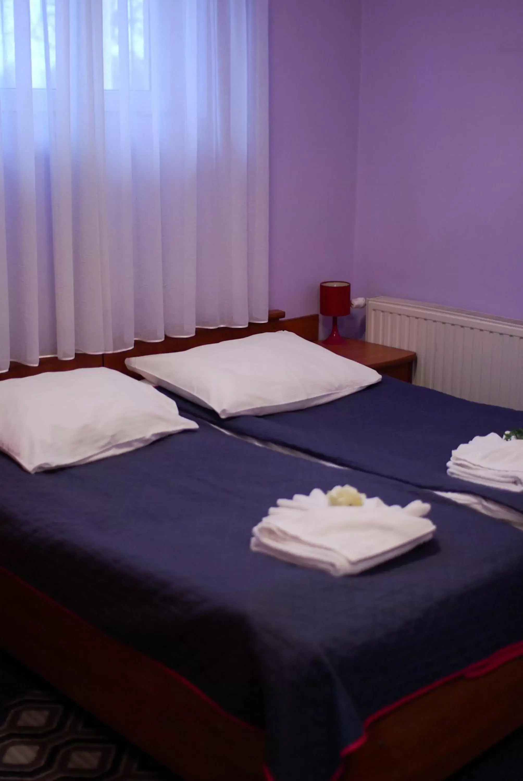 Standard Twin Room in Hotel Vistula Standard Twin Room in Hotel Vistula