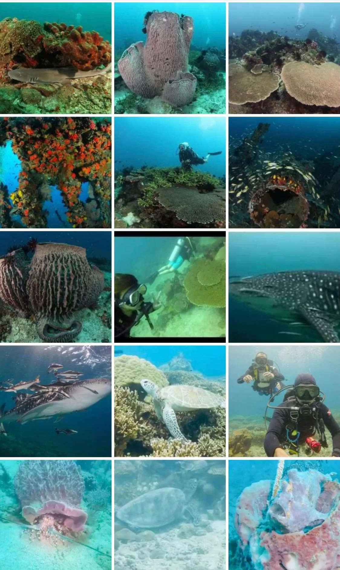 Dragon Pearl Beach Resort