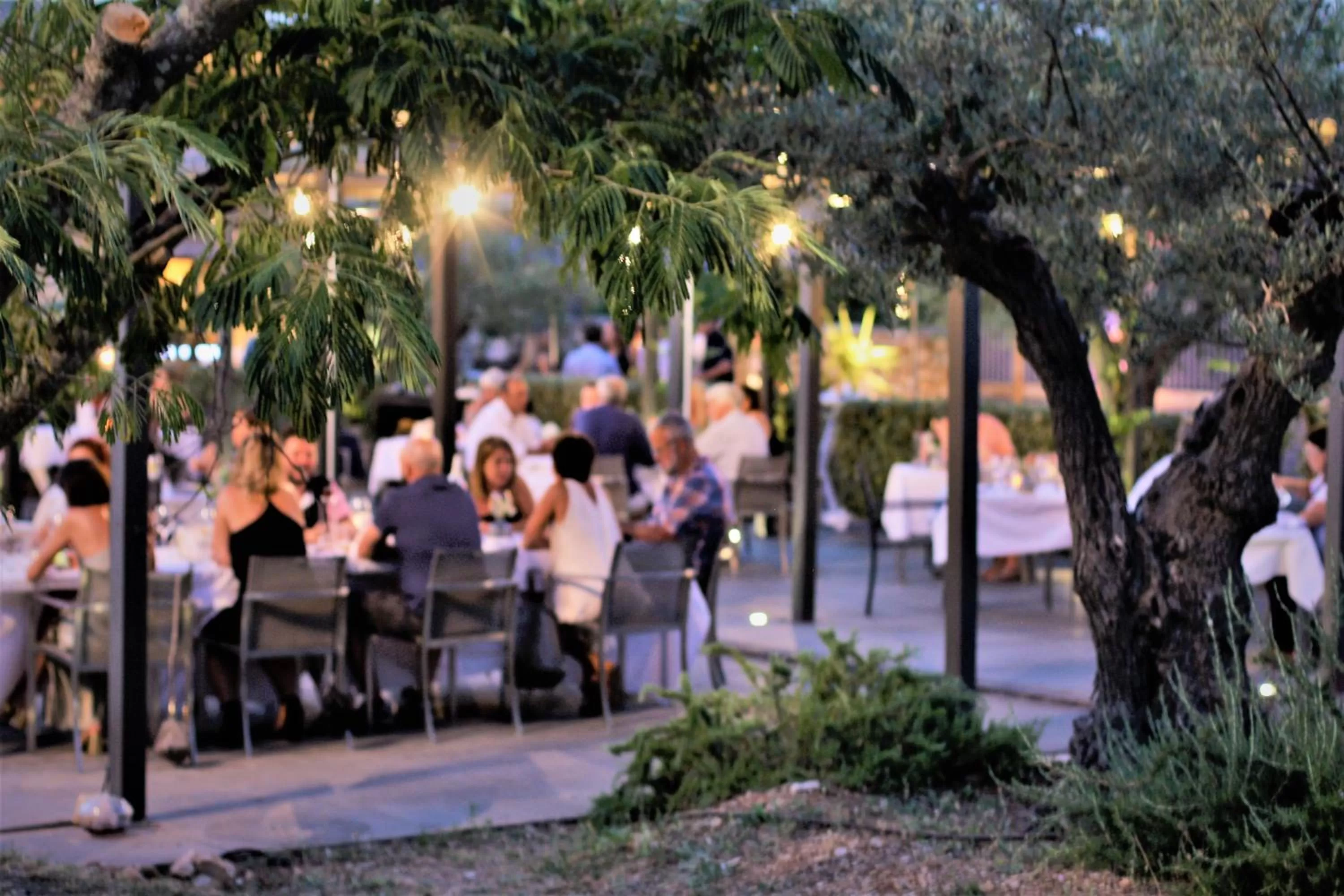 Restaurant/places to eat in Domaine la Pierre Blanche