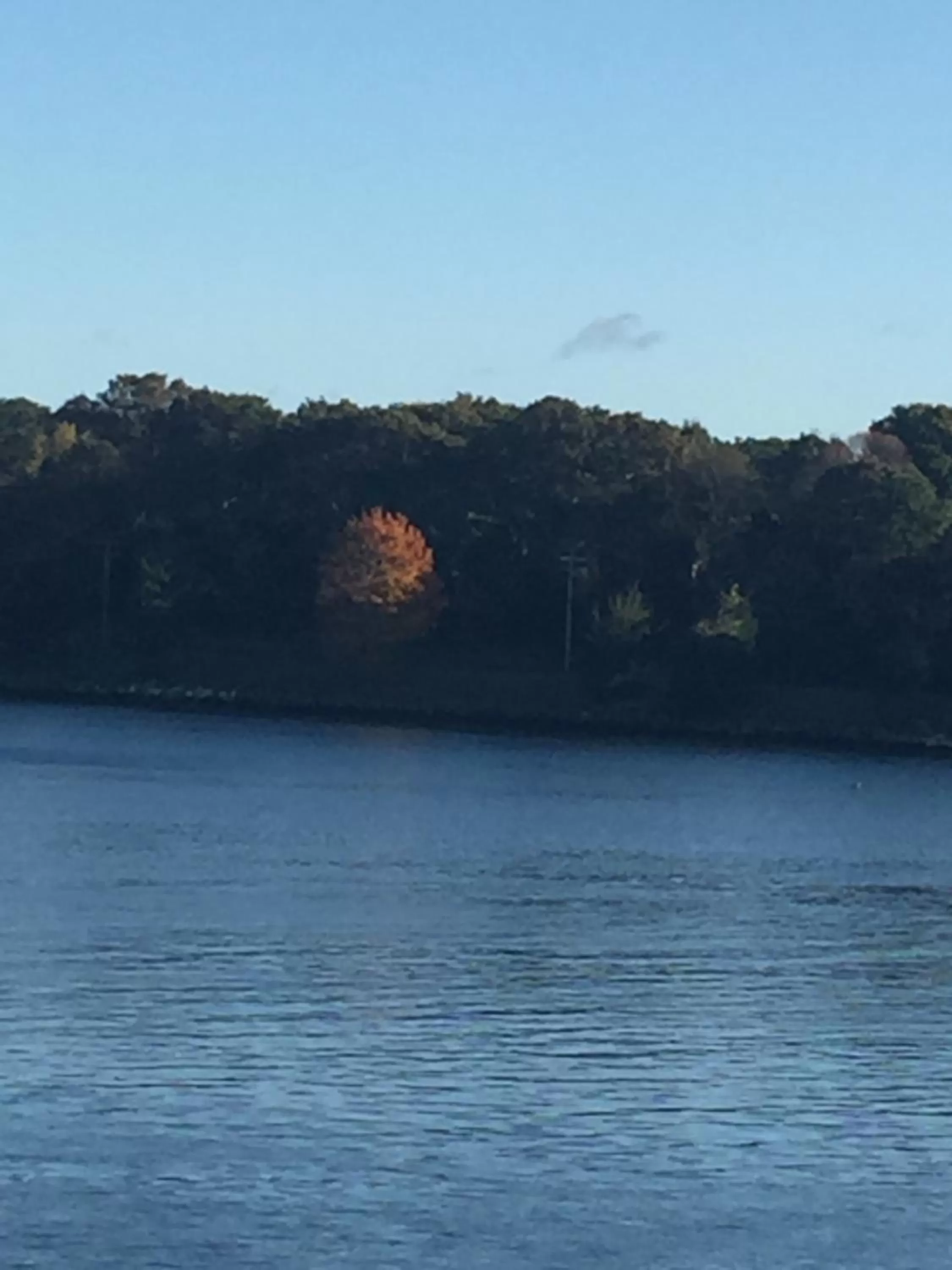 Inn 38 Oak Bluff Circle