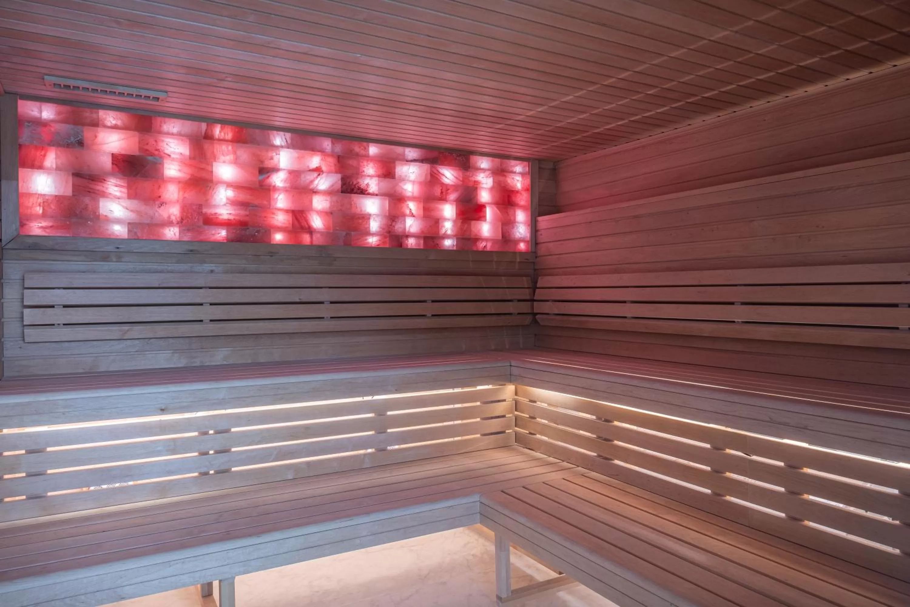 Sauna in L'Orangerie du Château des Reynats