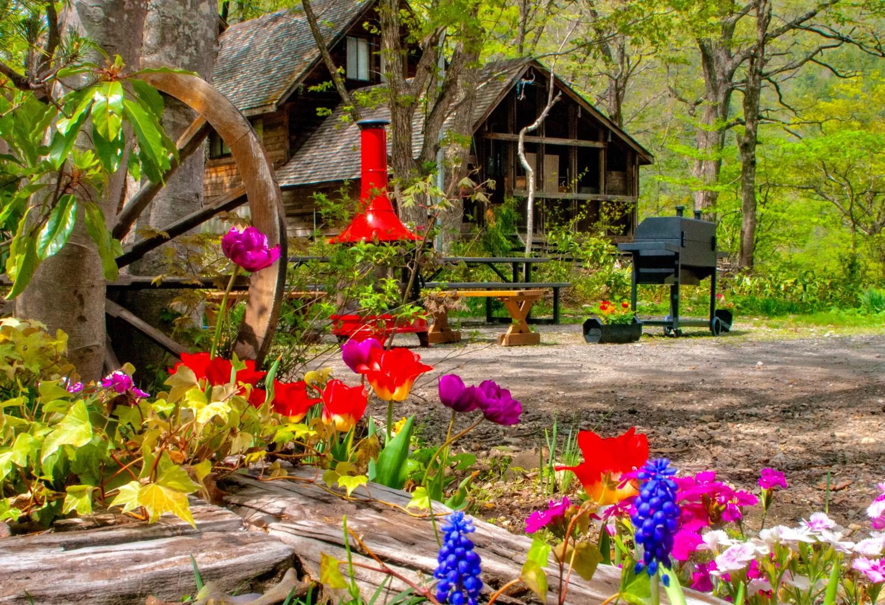 Children play ground in Panketo Lodge & Yoga Studio
