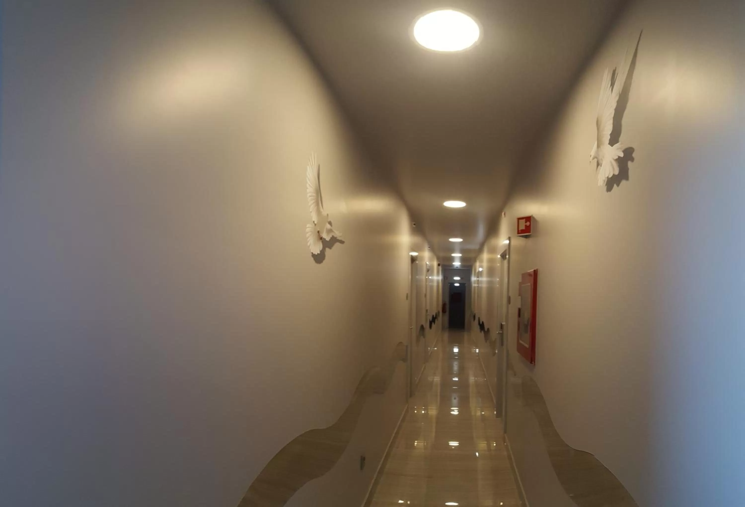 Other in Hotel Aleluia