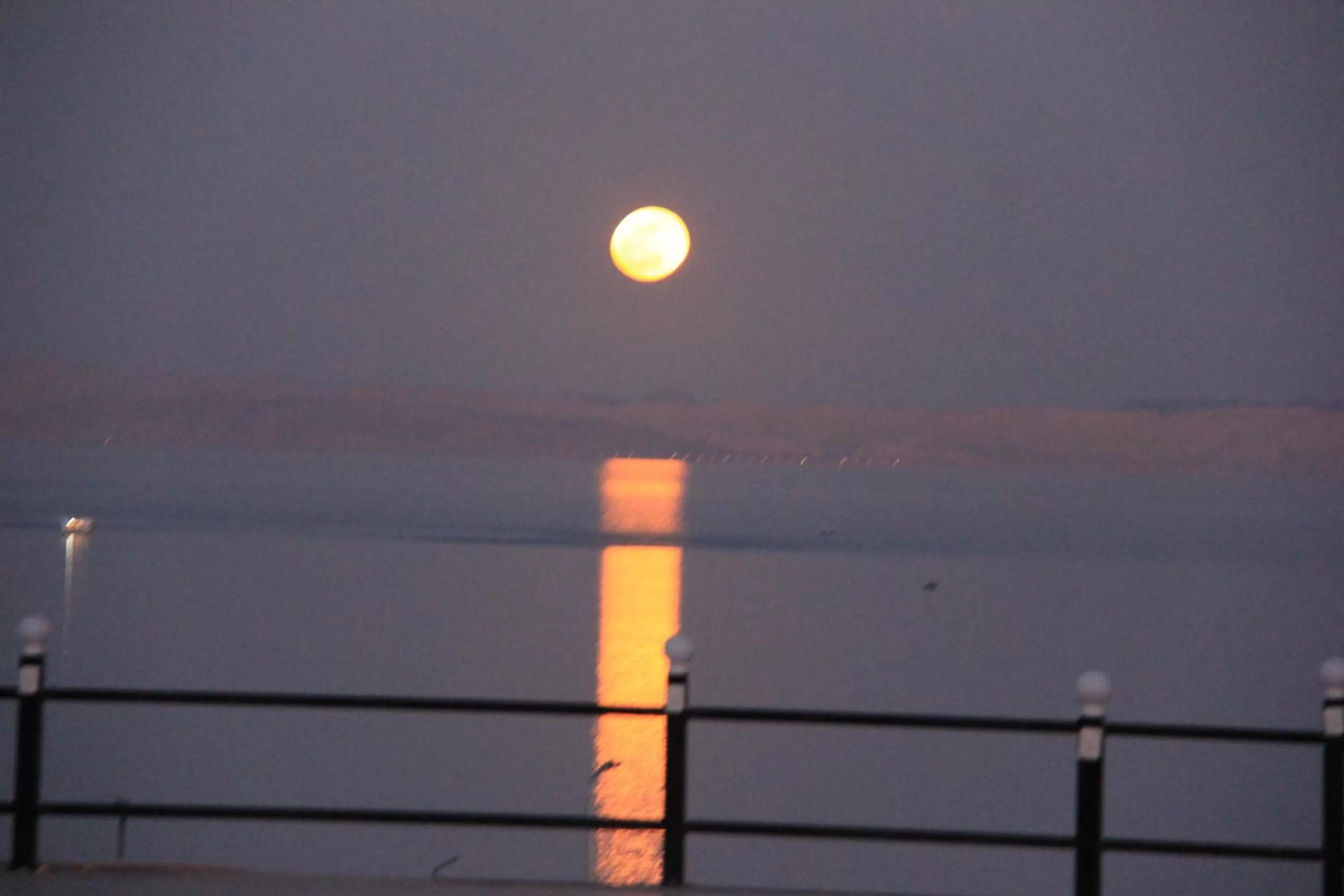 Sea view in Seaview Panorama Hotel