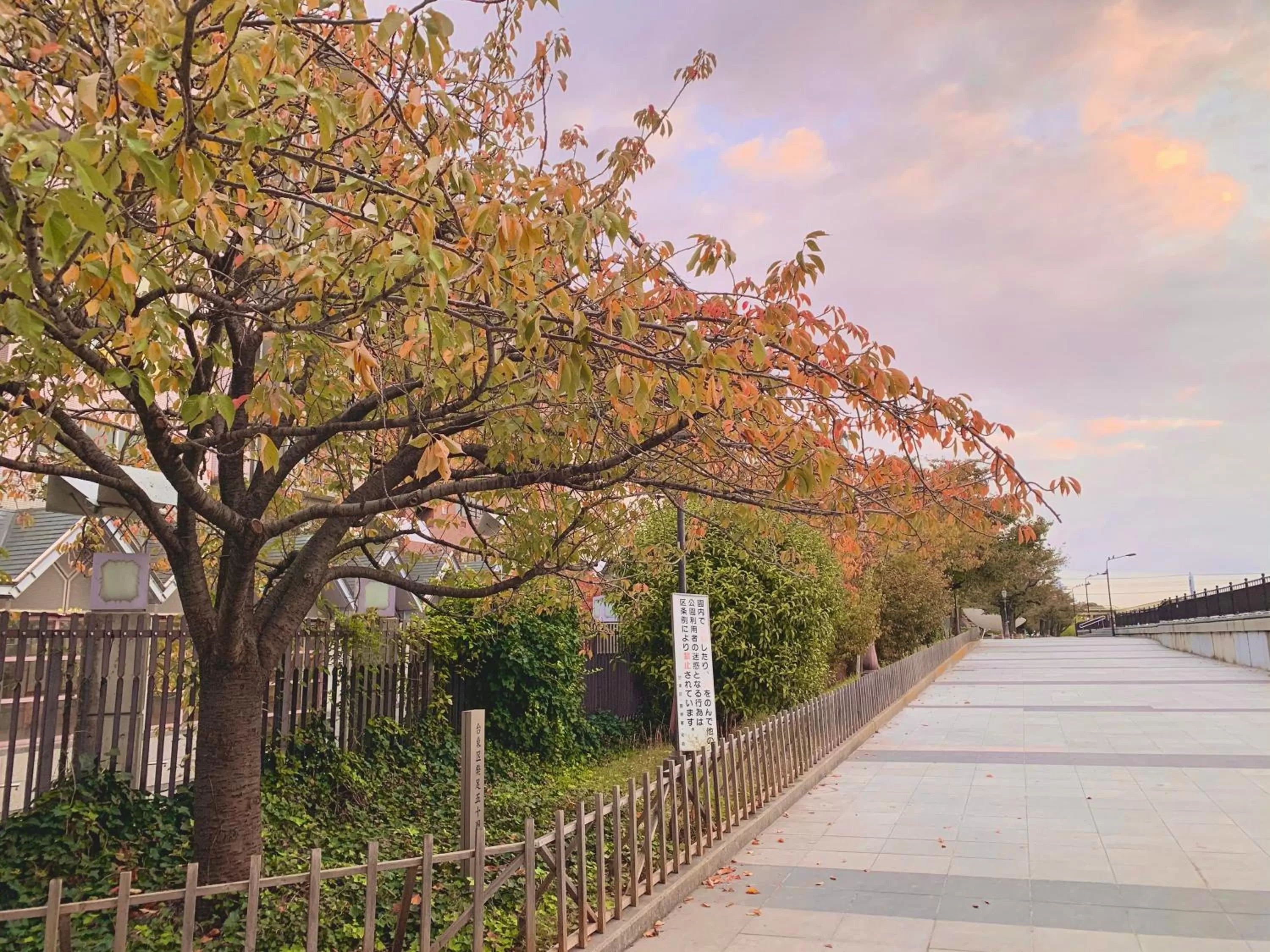 Neighbourhood in APA Hotel Asakusa Ekimae
