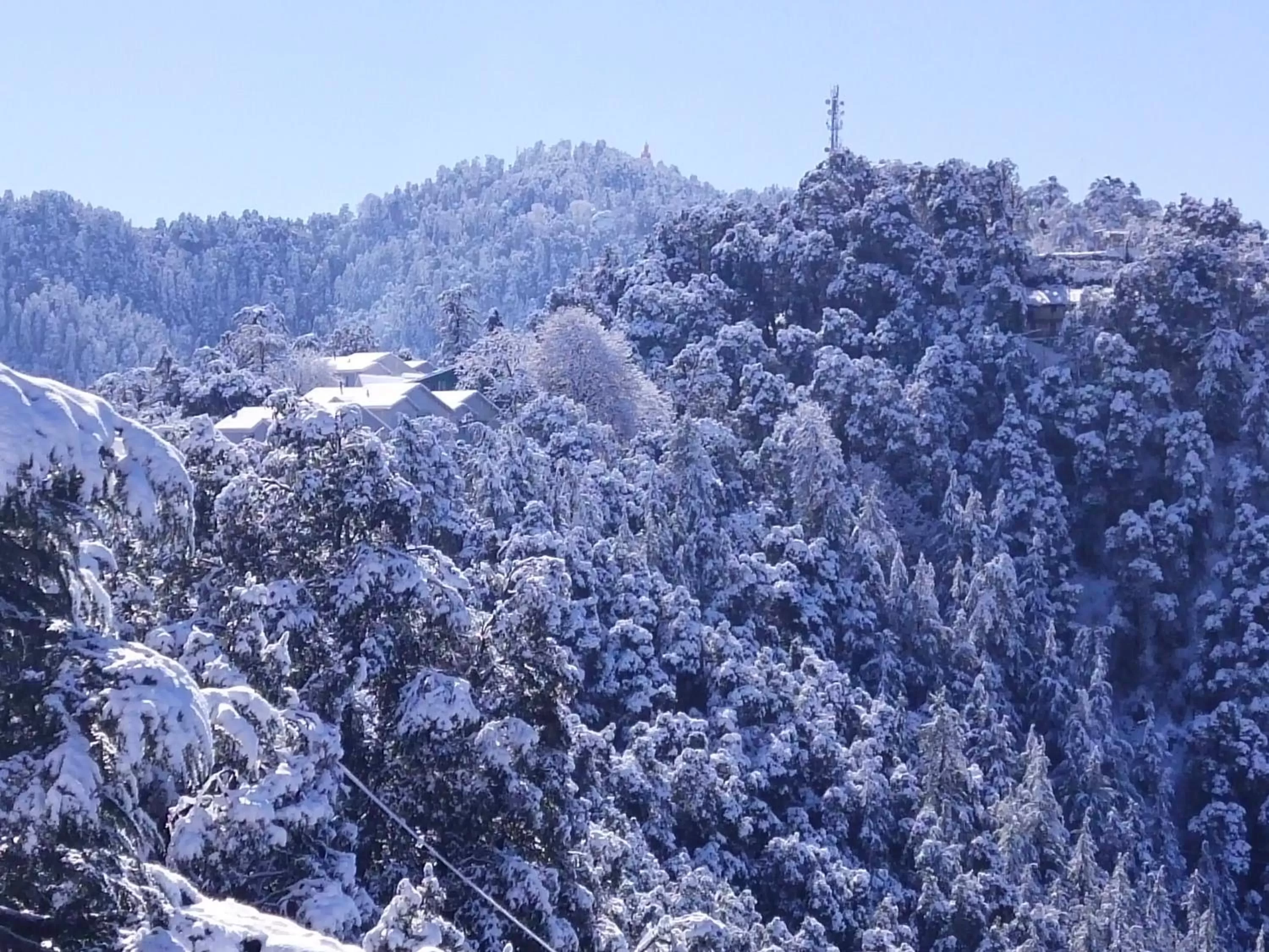 Winter in Dhanlaxmi Apartments