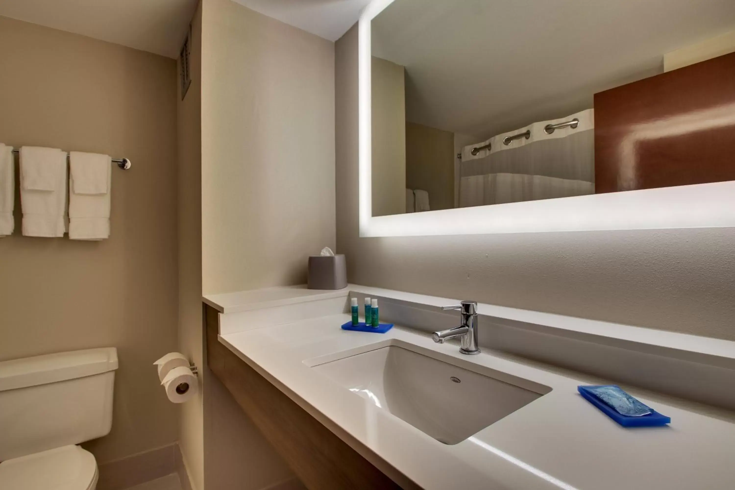 Standard Room in Holiday Inn Express - Horse Cave by IHG Standard Room in Holiday Inn Express - Horse Cave by IHG