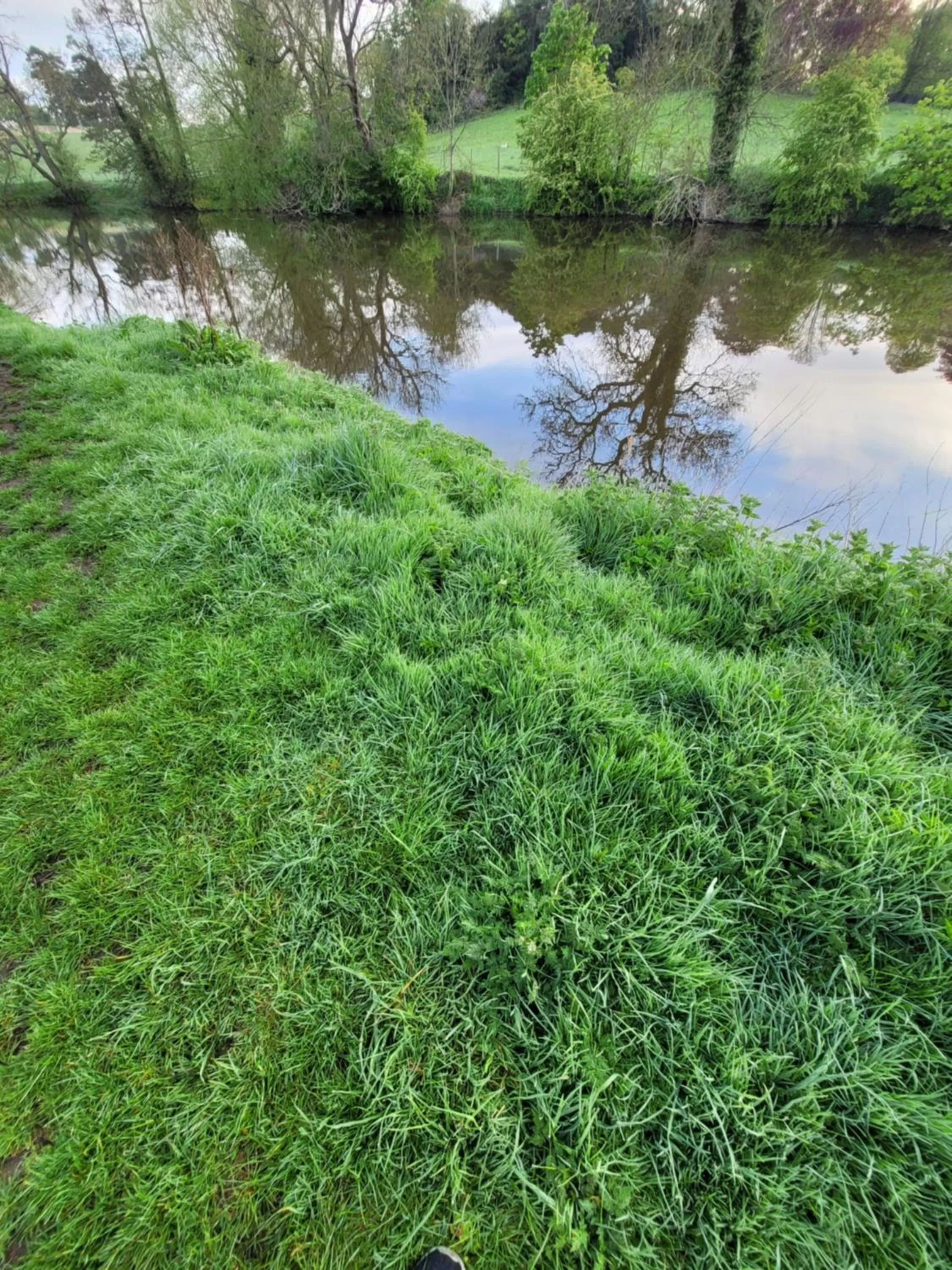 the jackdaw pub SELF CATERING STATIC CARAVAN free breakfast supplied