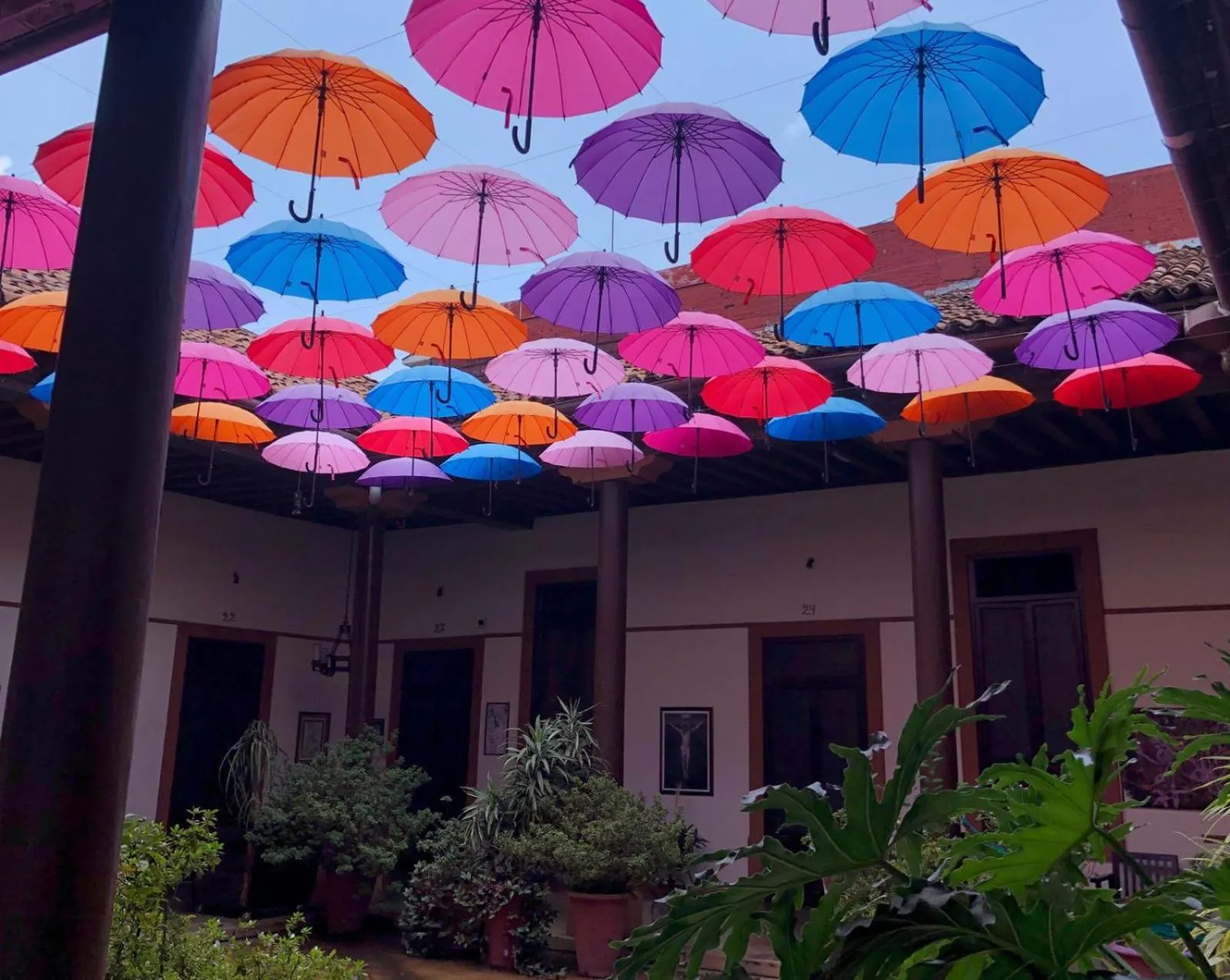 Hotel Villa de Flores