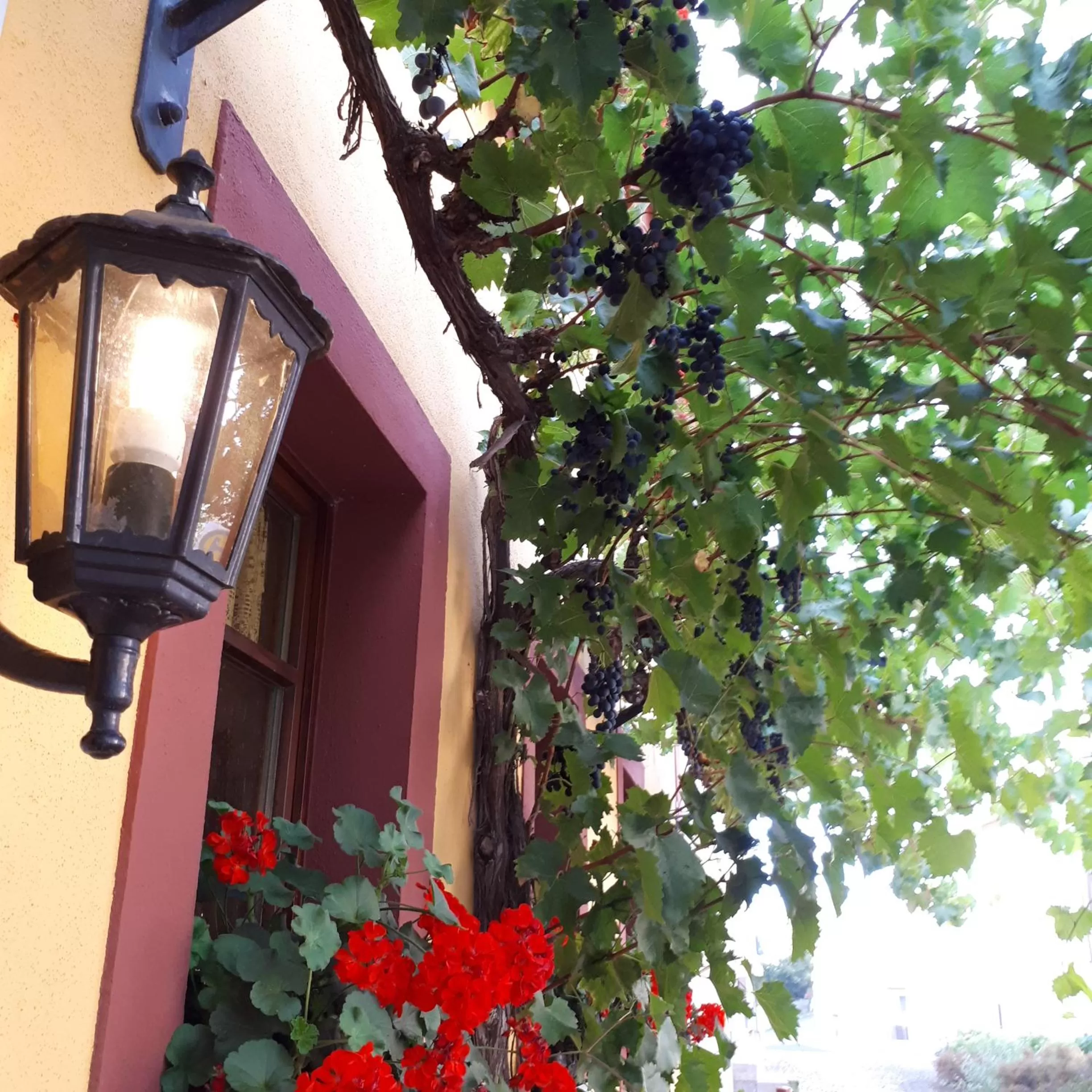 Facade/entrance in Landgasthof May
