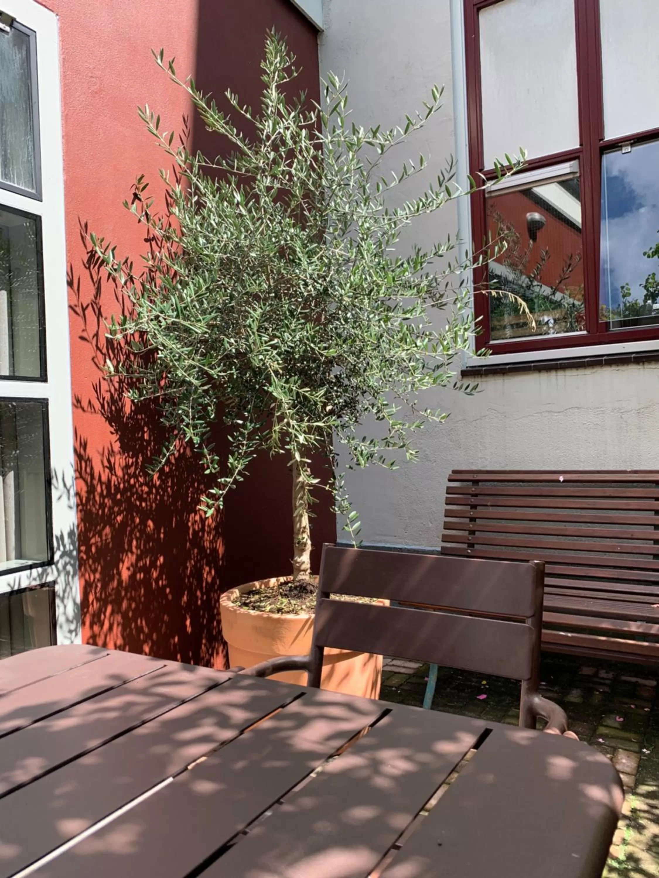 Balcony/Terrace in Zocher6 a monumental town house in the city center