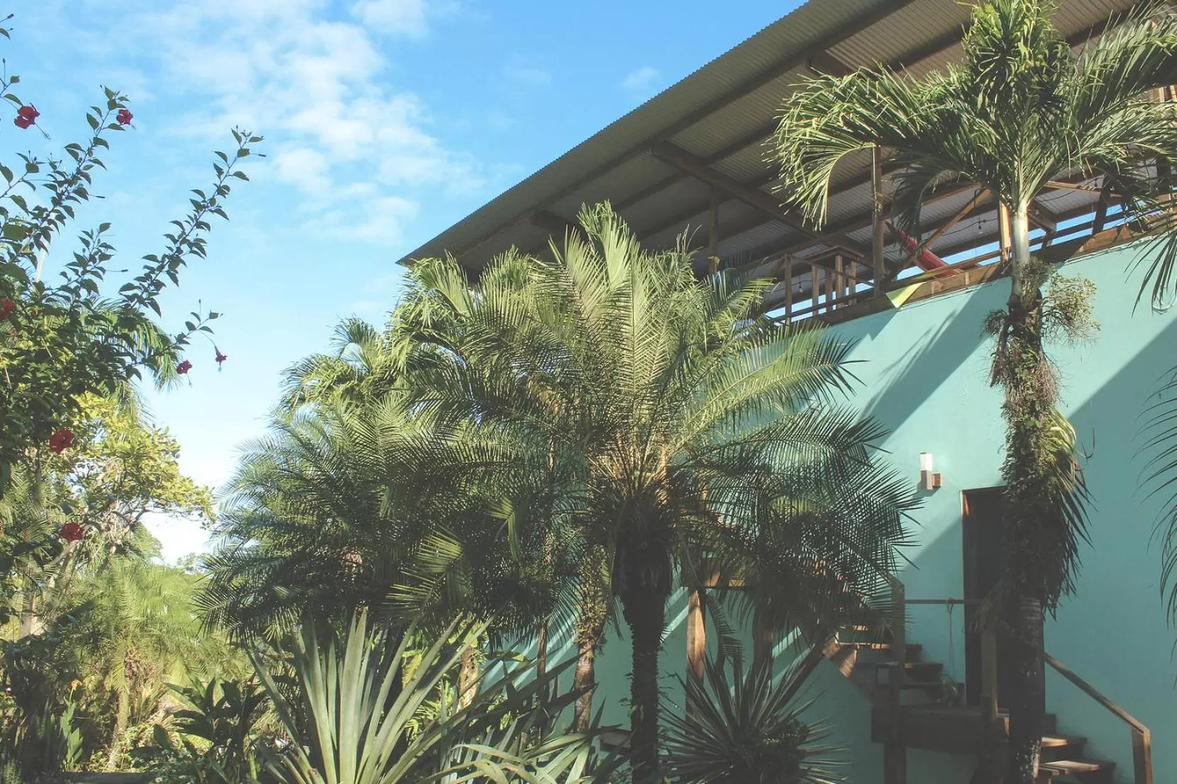 Balcony/Terrace in Bird Island Bungalows