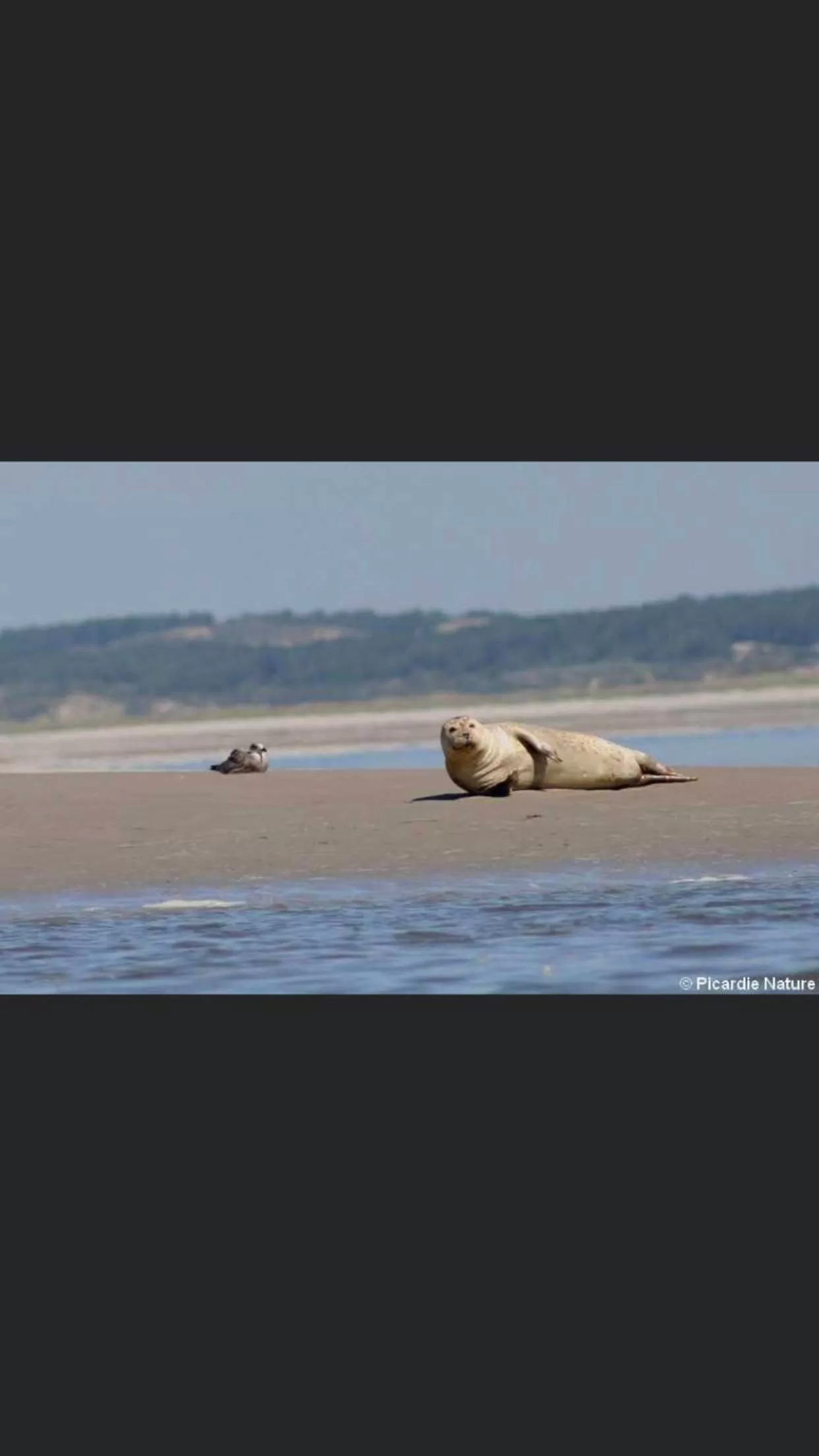 Escale beauté le Crotoy