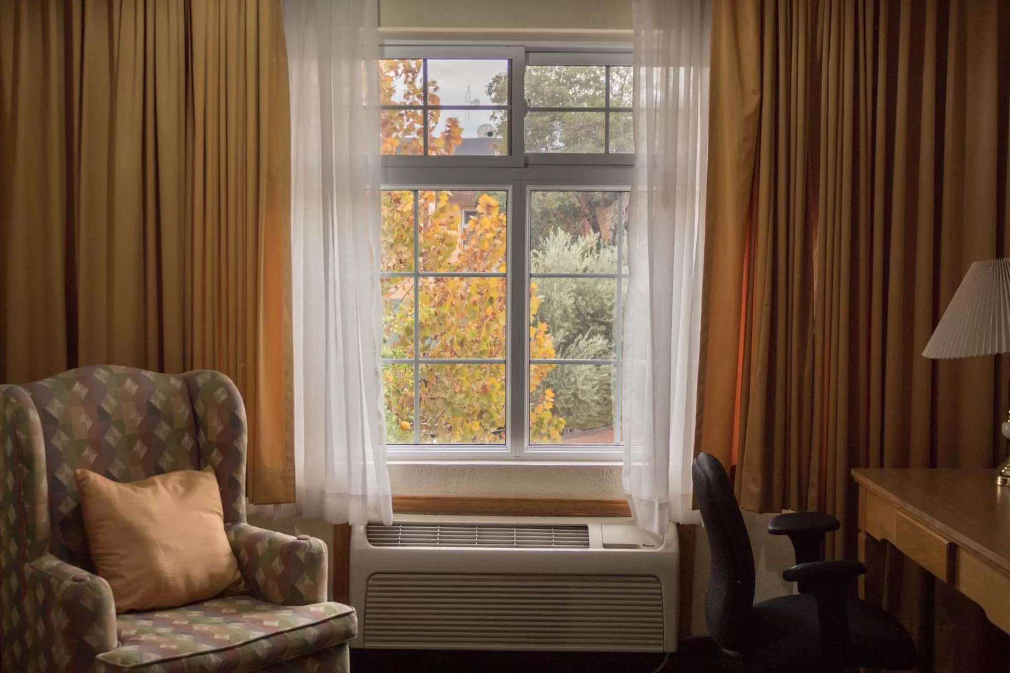 Seating area in Hotel Sicomoro