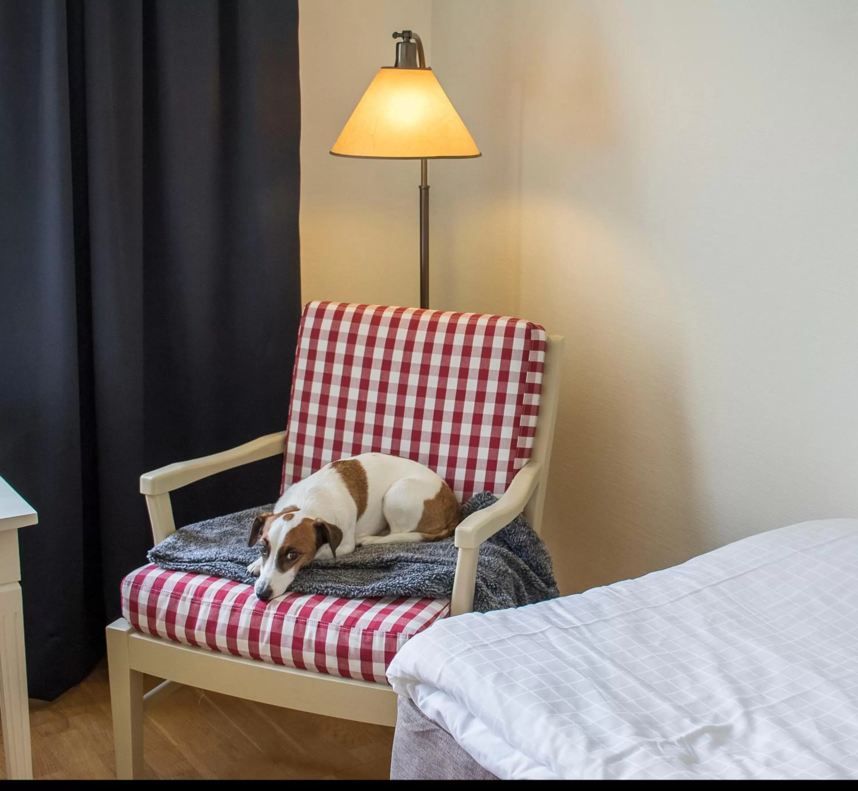 Animals in Hotell Frykenstrand; Sure Hotel Collection by Best Western
