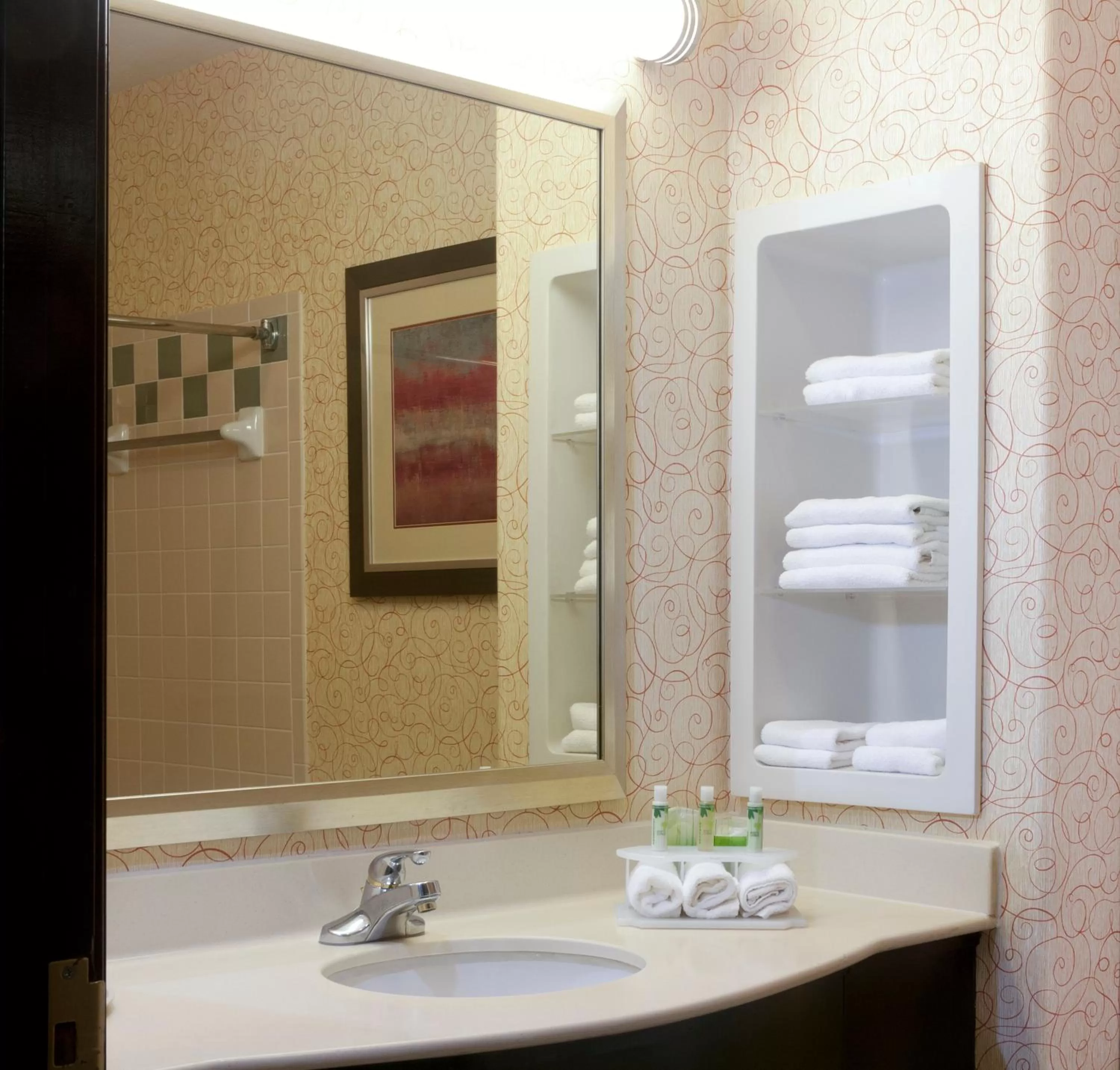 Standard  Room in Holiday Inn Express Hotel and Suites Brownsville, an IHG Hotel