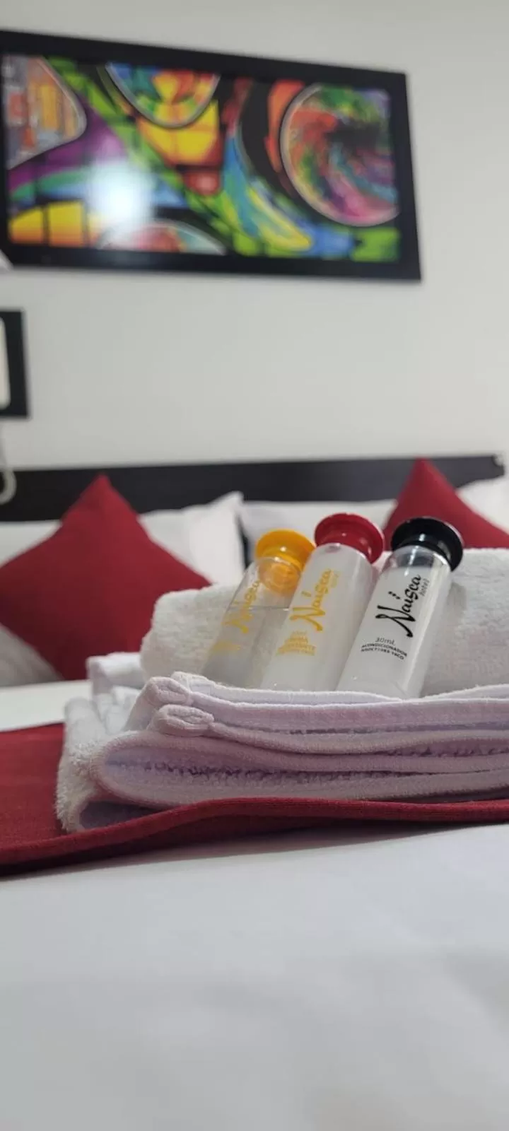 Photo of the whole room in Hotel Naisca 47