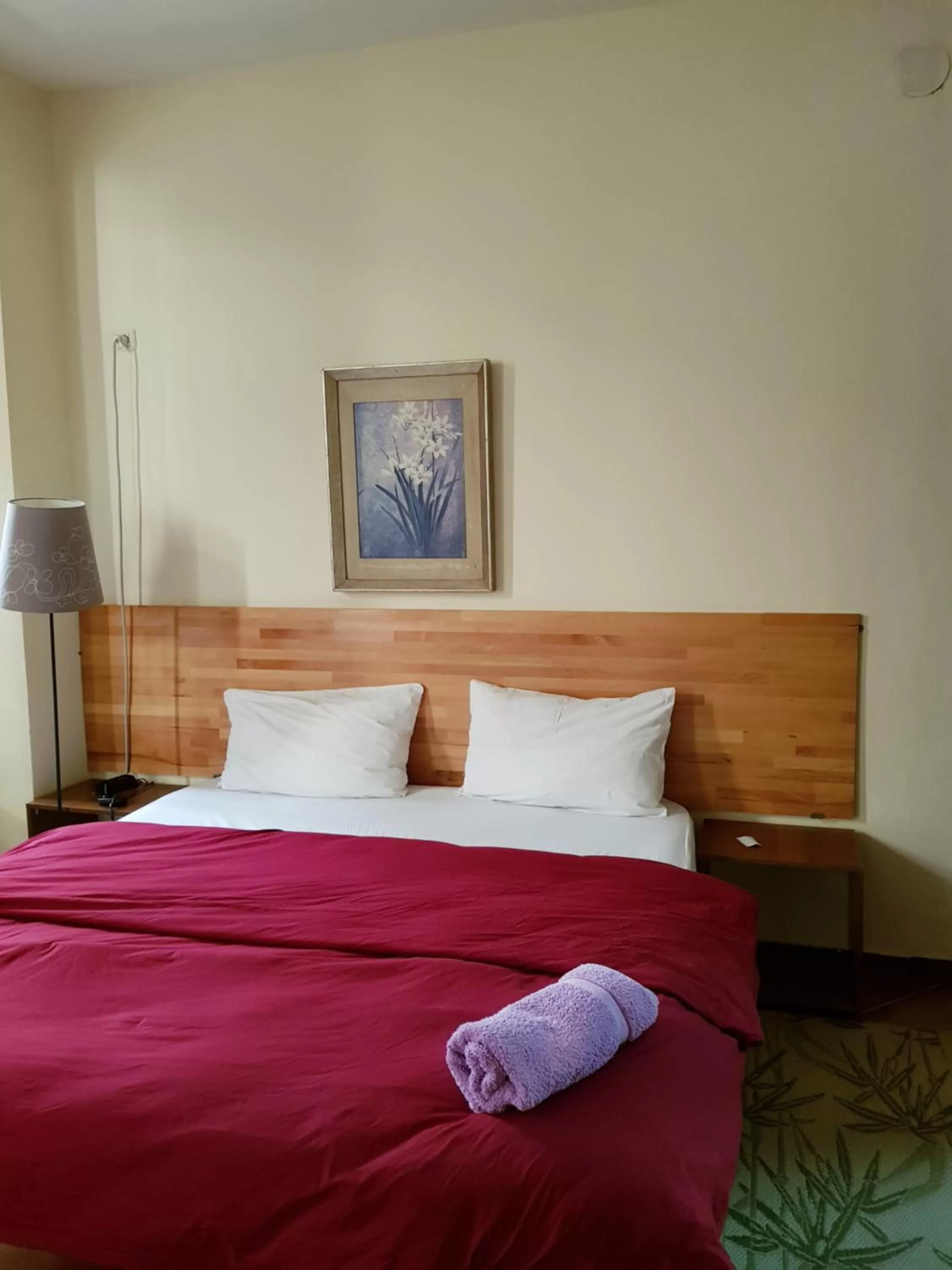 Bed in Hotel Kurtabeg