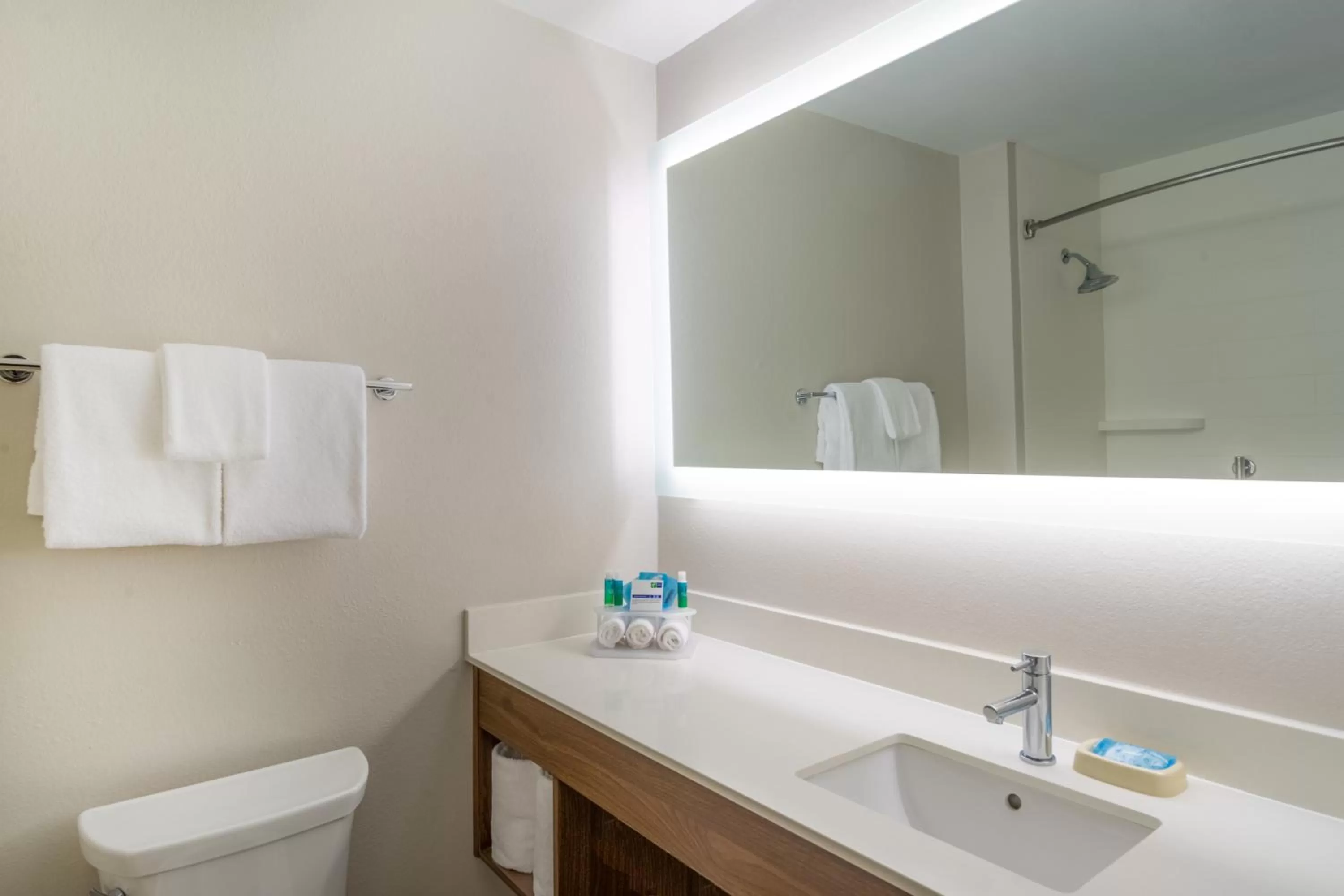 Bathroom in Holiday Inn Express Hotel Howe / Sturgis by IHG