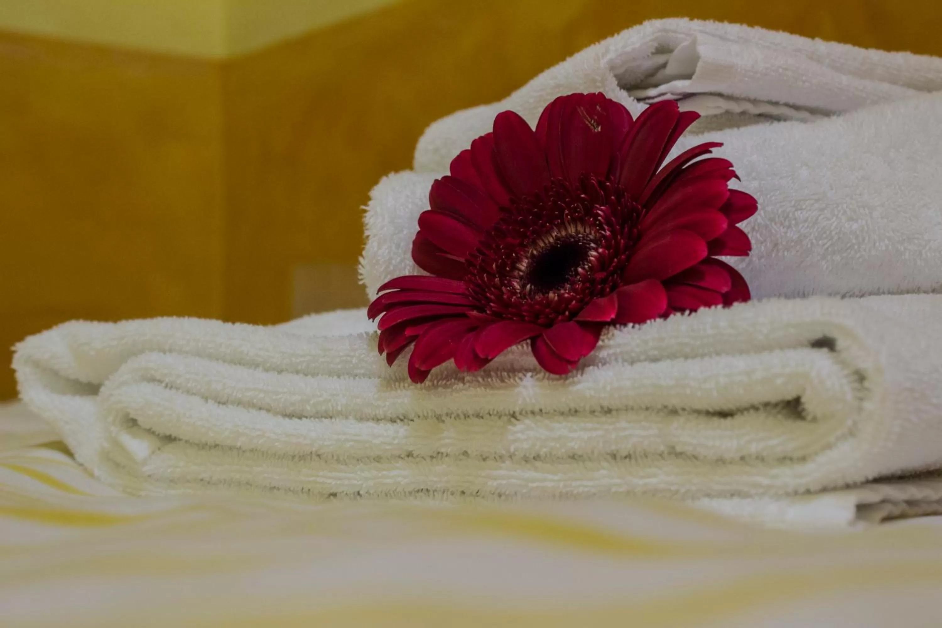 Other in On The Rainbow B&B