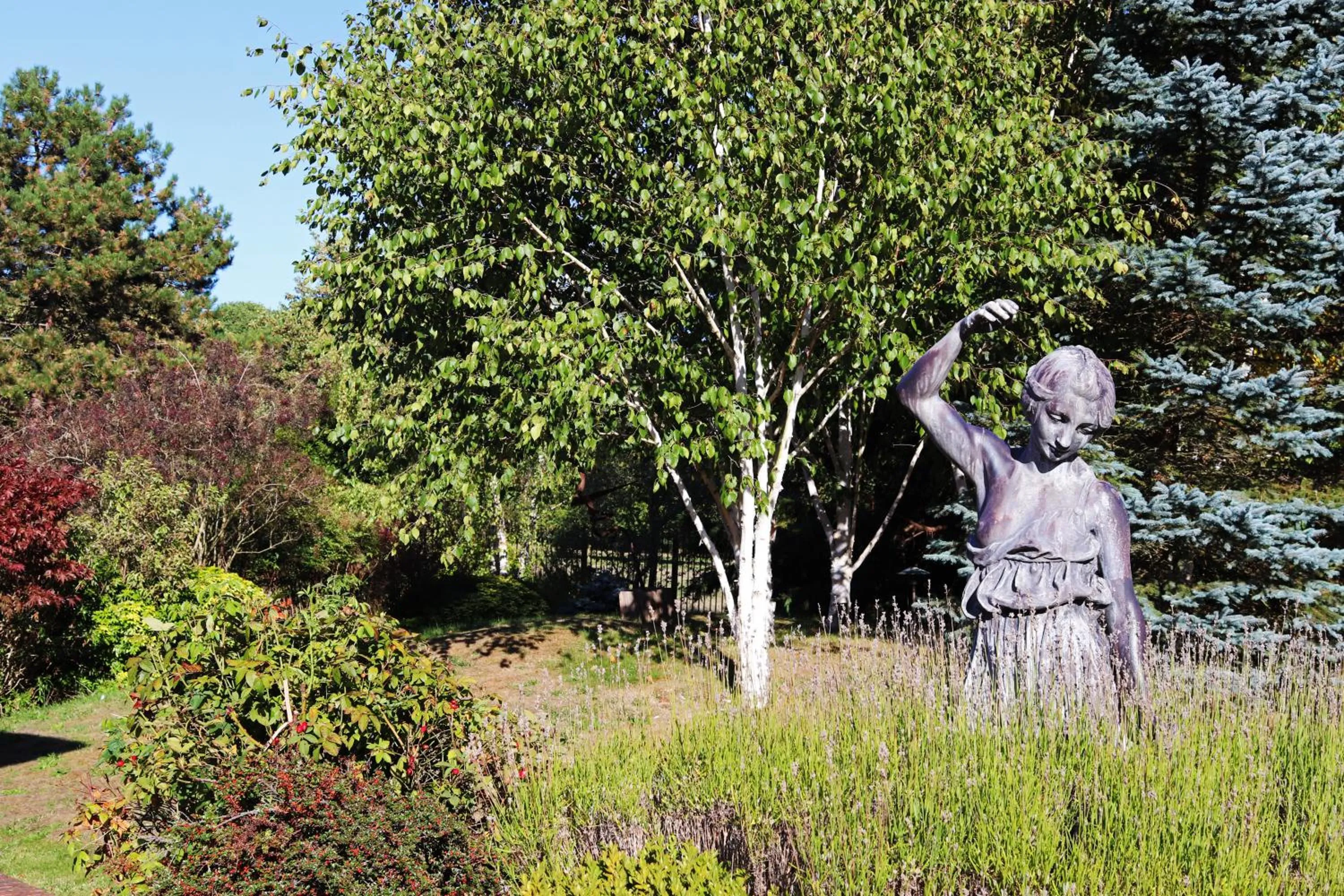 Natural landscape in Fredrick's Hotel & Spa