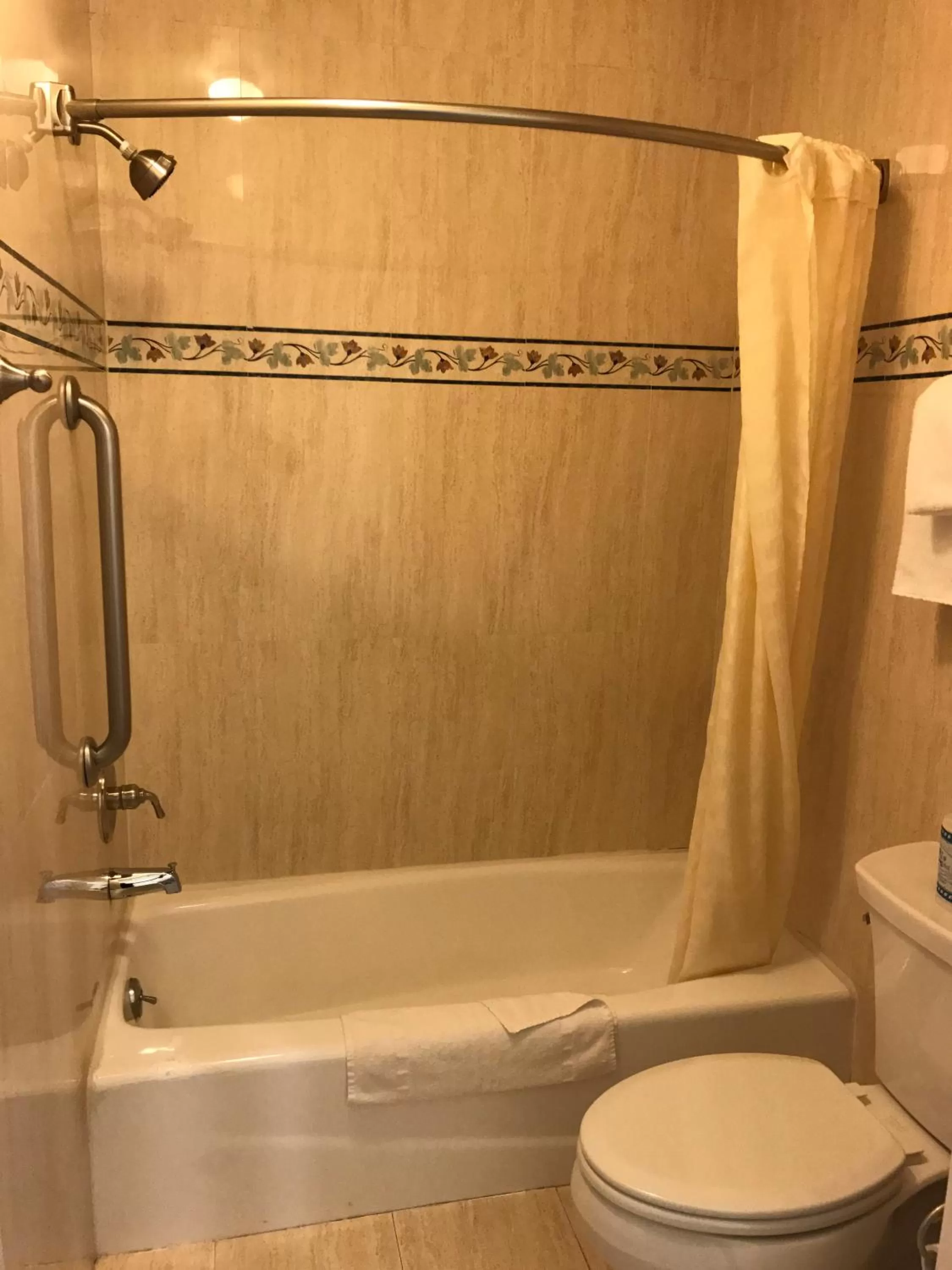 Bathroom in Castaic Inn Six Flags Valencia