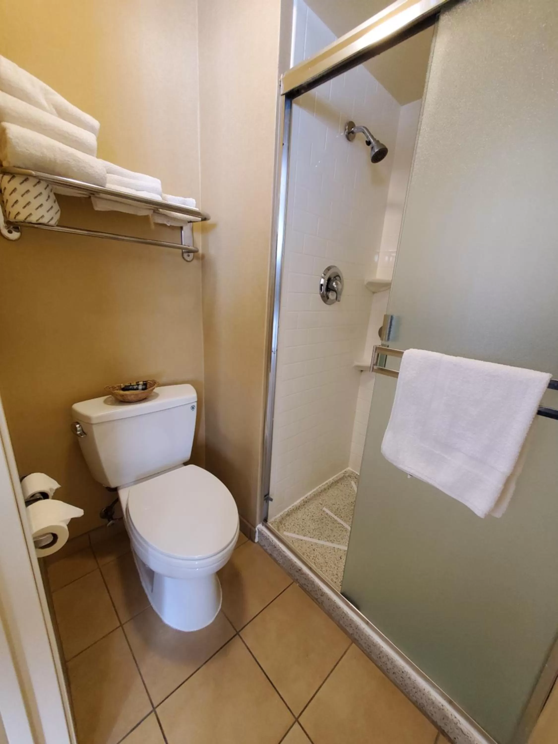 Shower in Royal Pacific Motor Inn