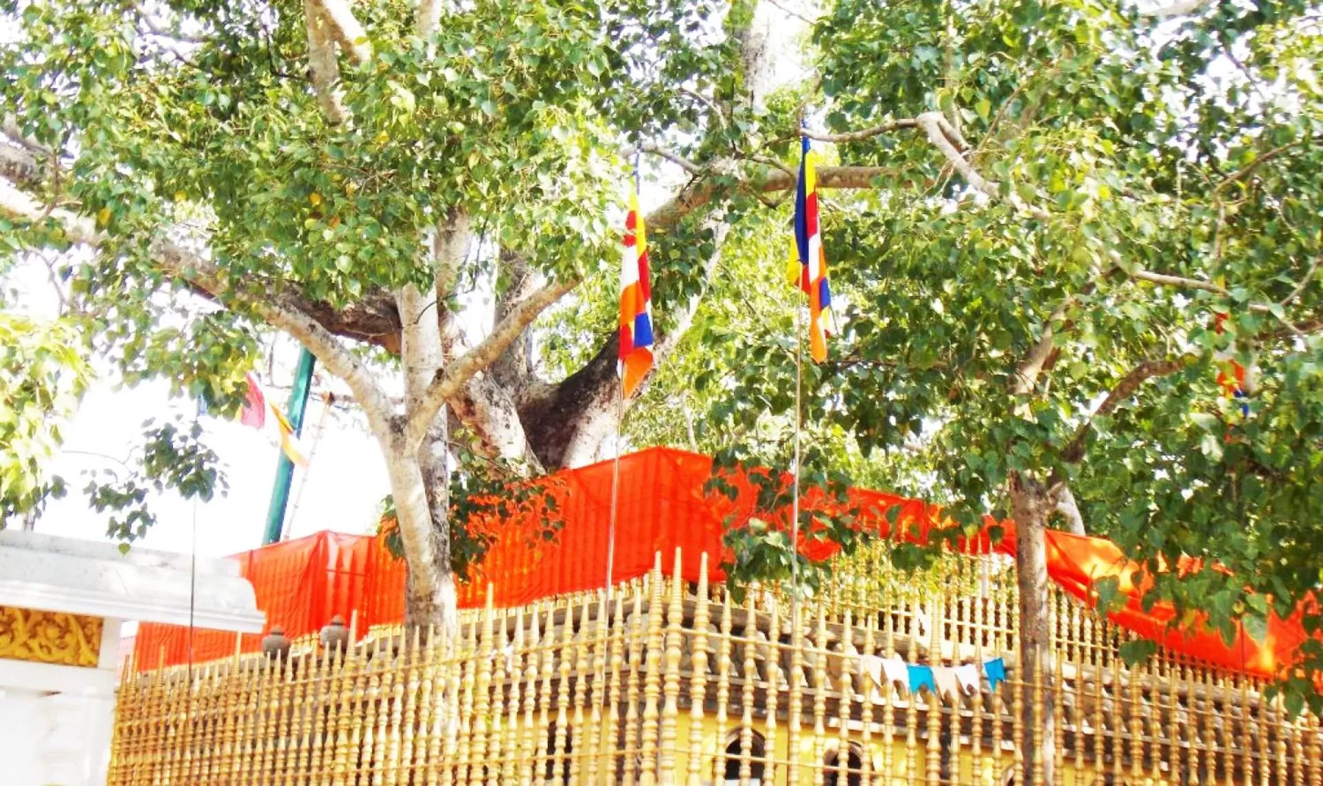 Property building in Kubura Resort