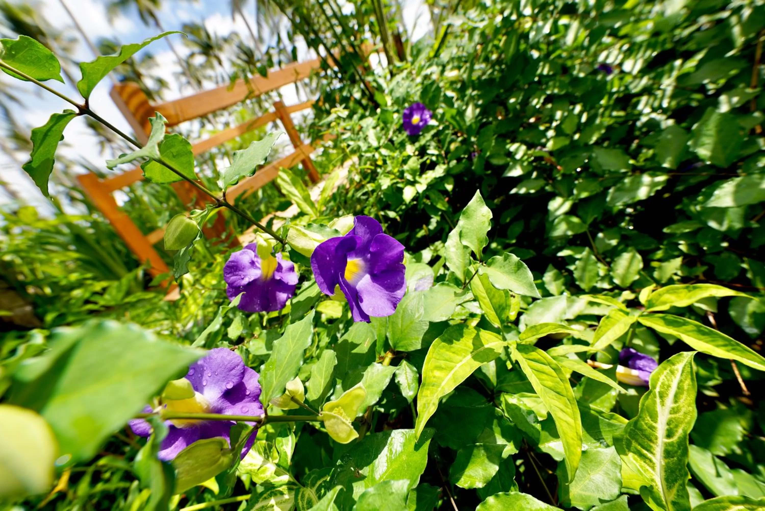 Nacpan Beach Glamping Managed by H Hospitality Group