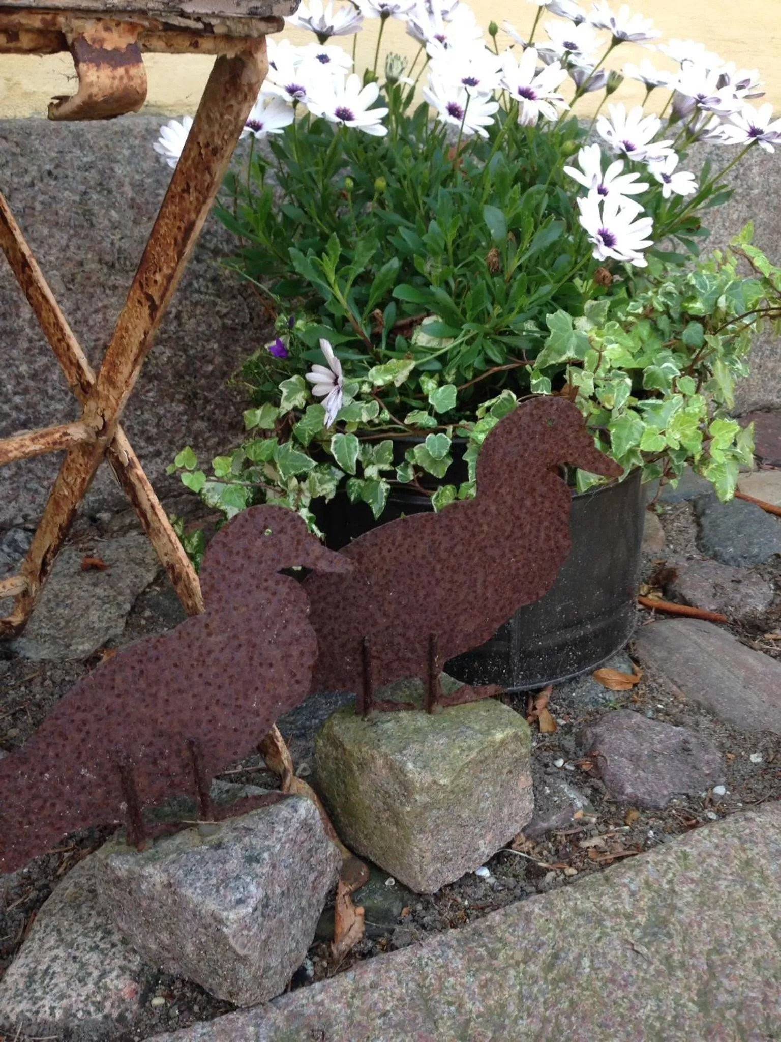 Garden, Other Animals in Birkende Bed and Breakfast