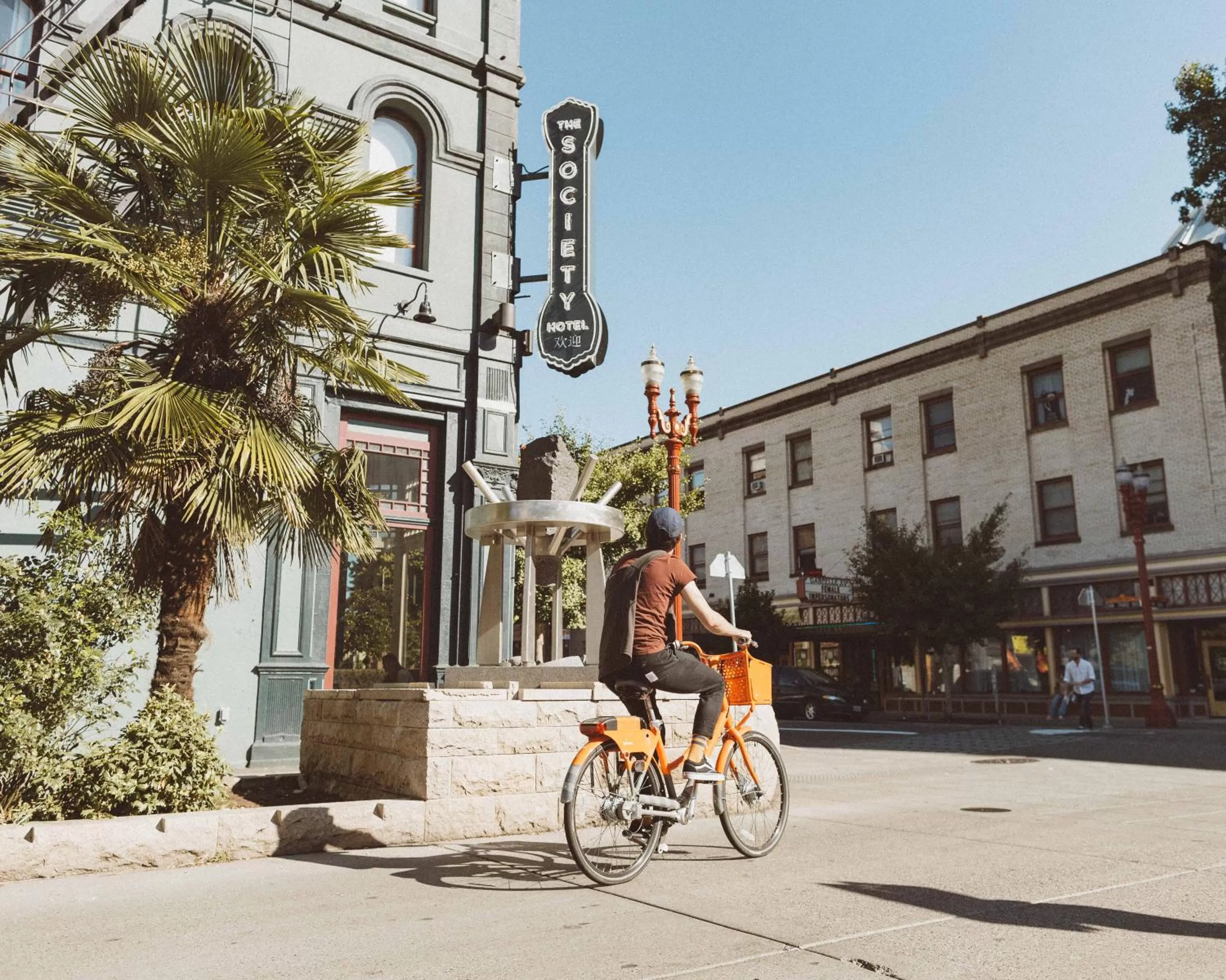 Spring in The Society Hotel