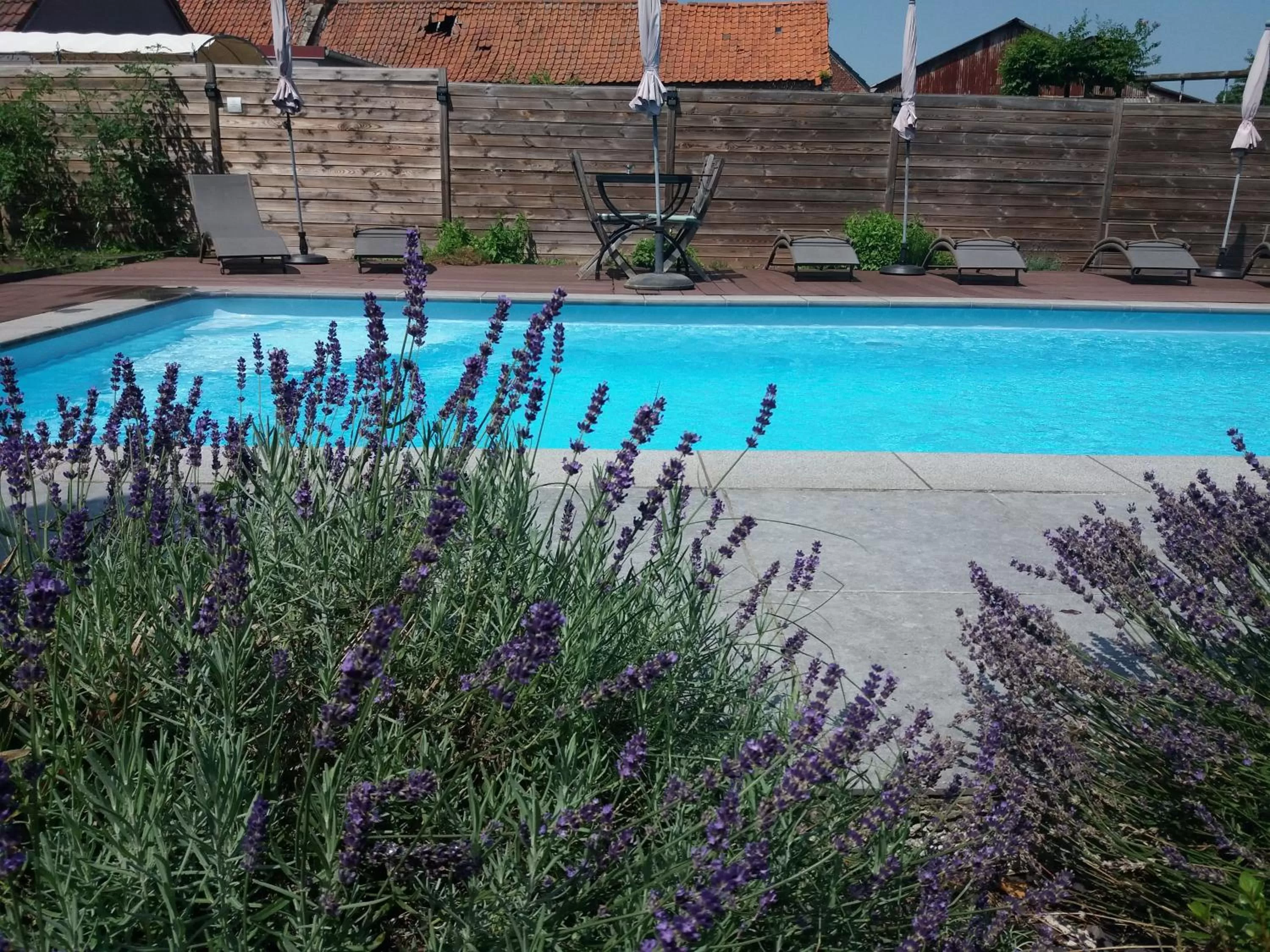 Swimming Pool in Secret d'une Nuit a vicq prės de valenciennes,onnaing,saint saulve avec piscine , jaccuzi