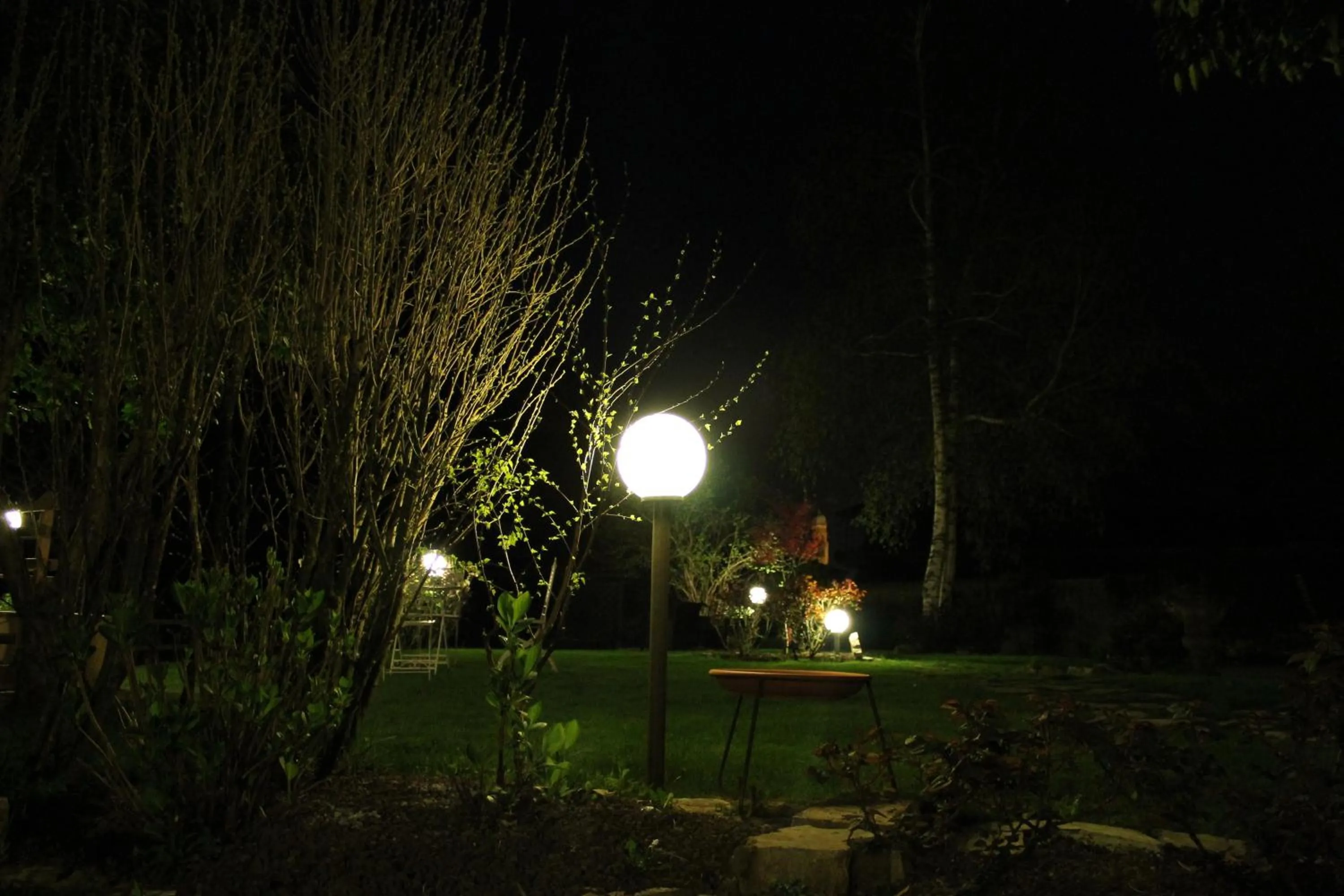 Hotel Calvi-Ristorante Mainor