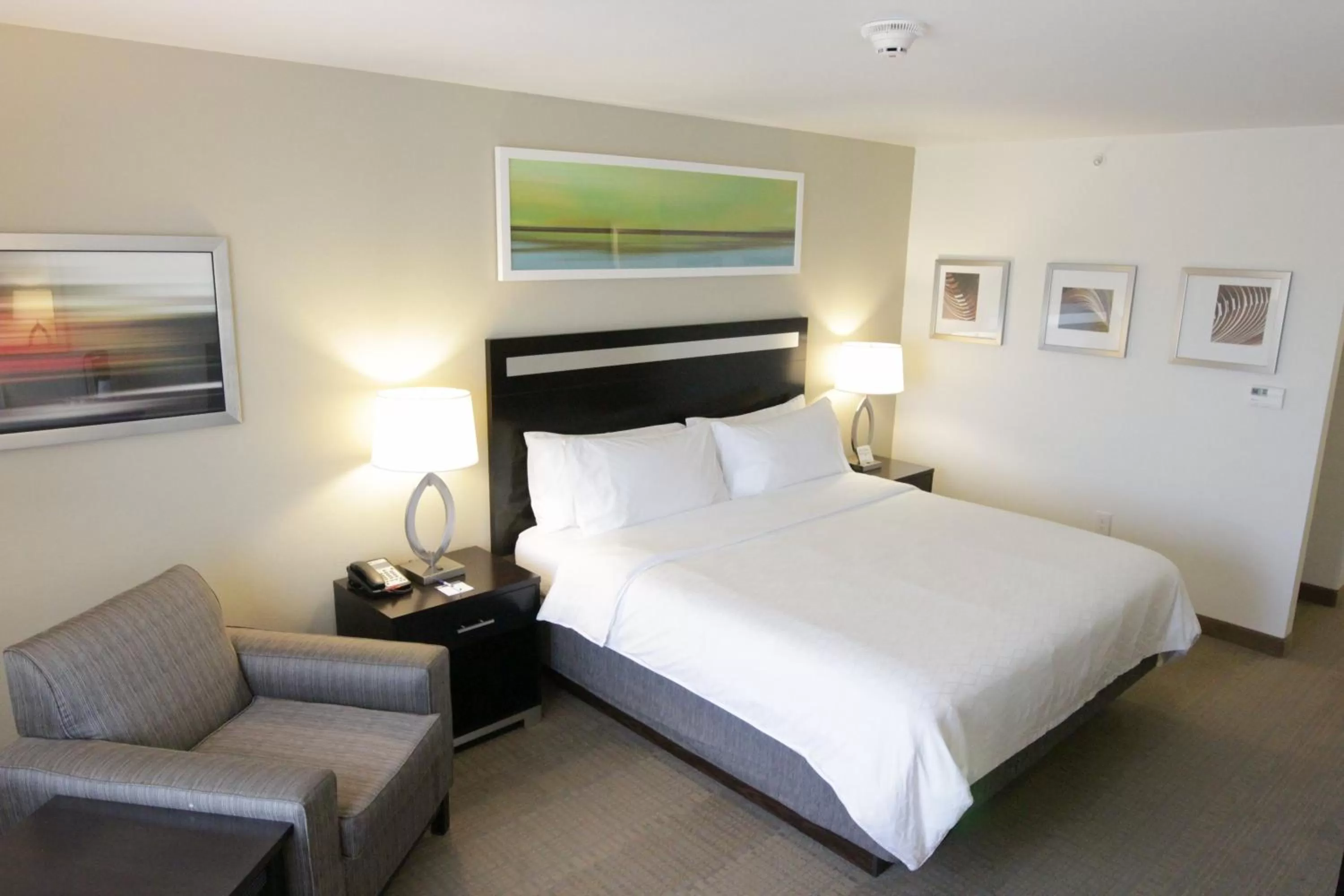 Photo of the whole room, Bed in Holiday Inn Express and Suites Montgomery by IHG