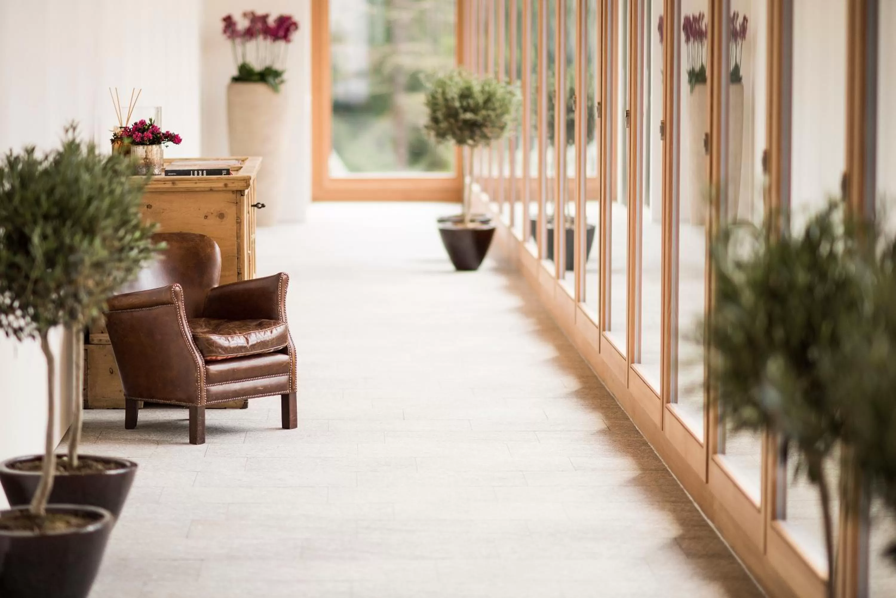 Lobby or reception in Hotel Albris