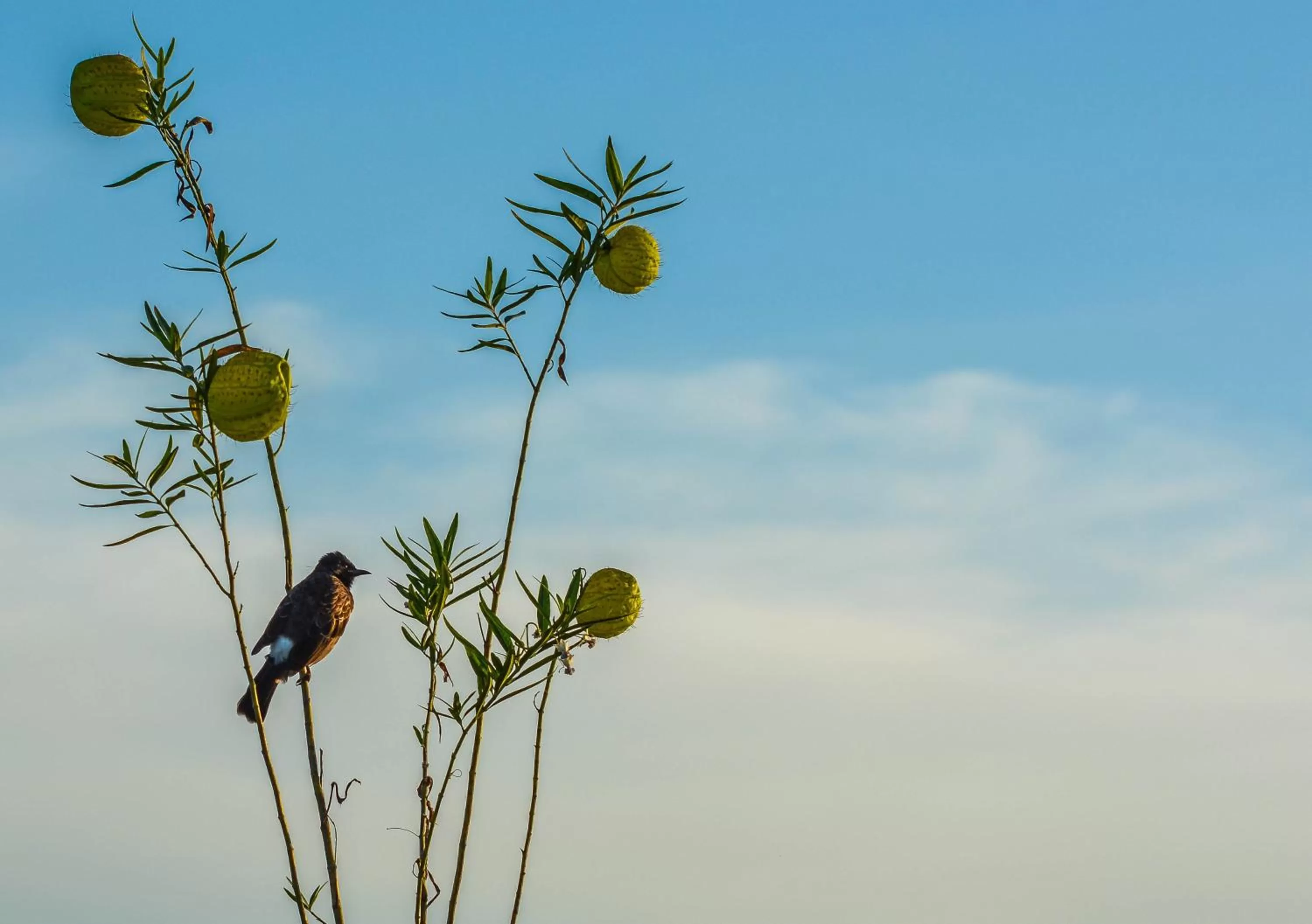 Animals in Elegant Hotel