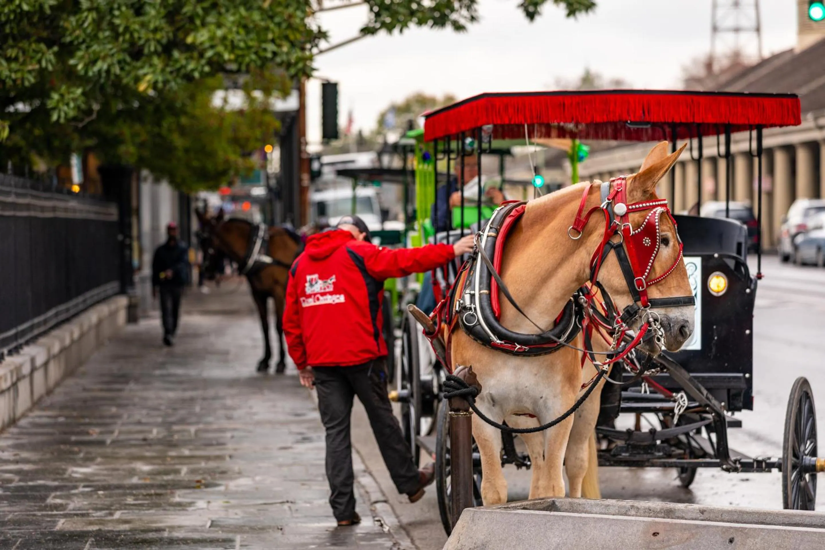 Neighbourhood in Hotel de la Monnaie, French Quarter