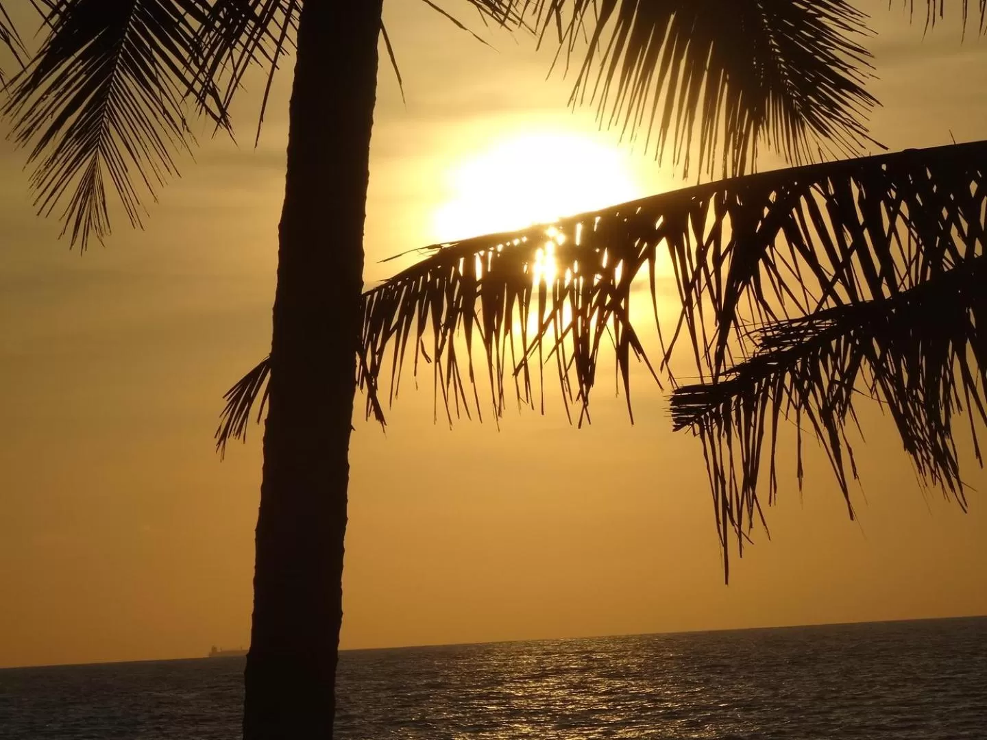 Sunset, Sunrise/Sunset in Amssler Beach Stay