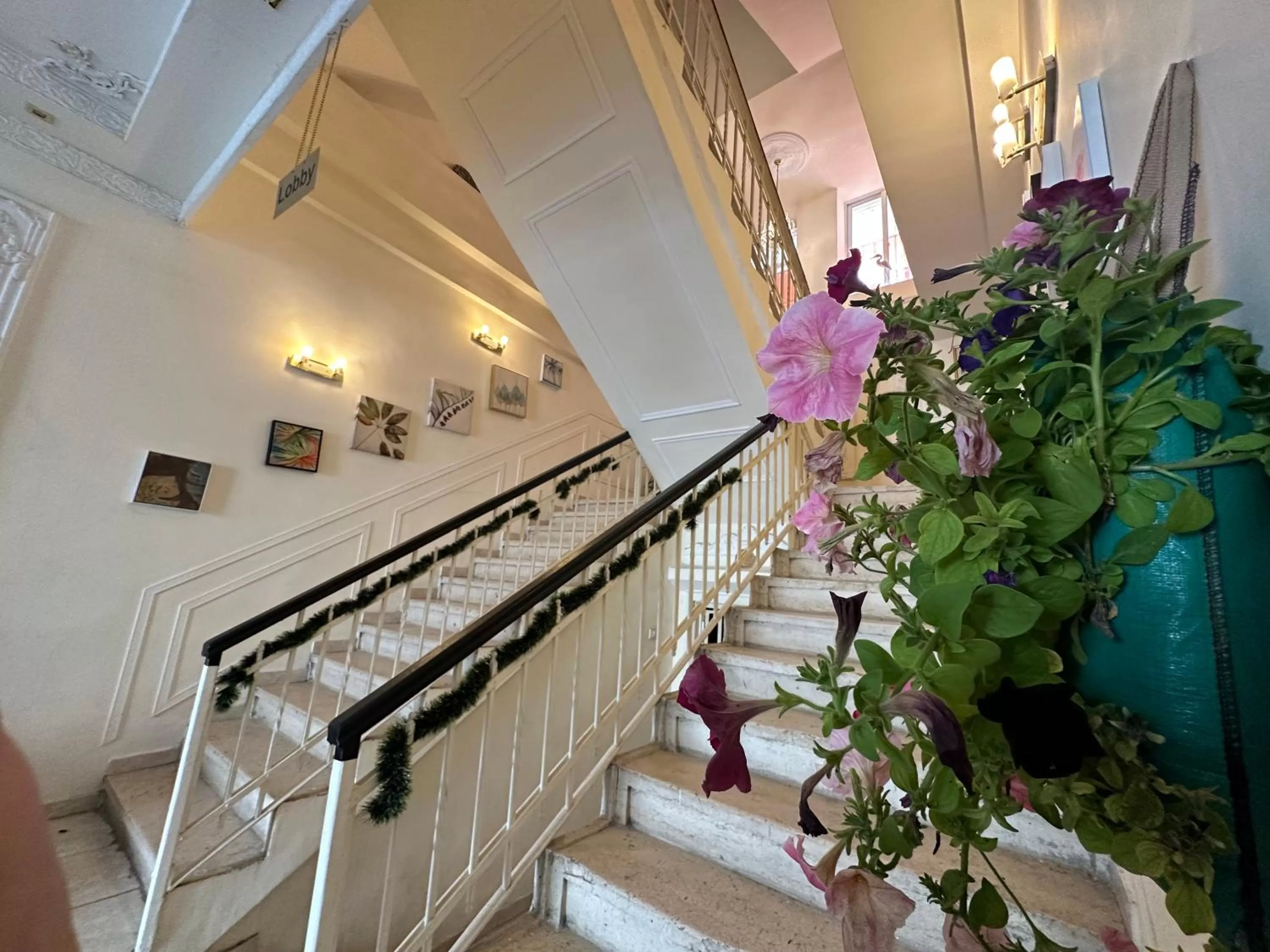 City Citadel Hotel,Amman