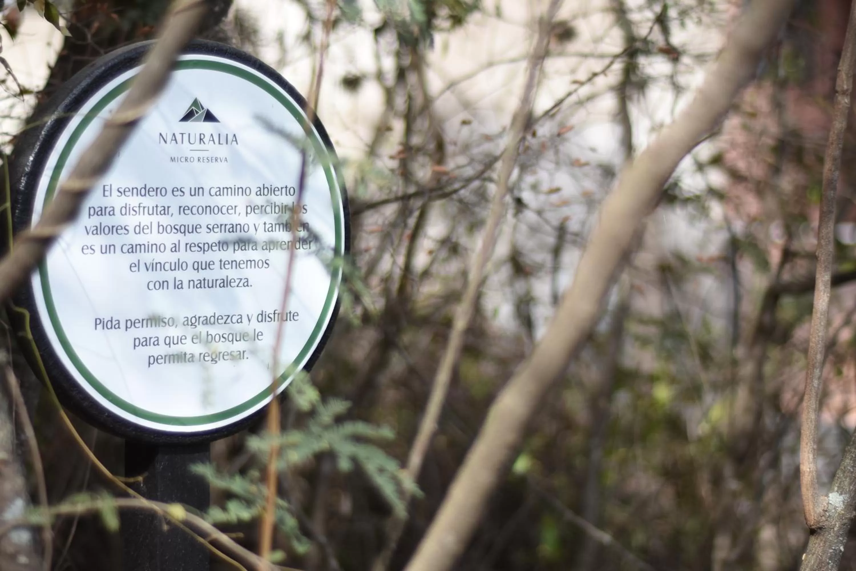 Spring in Pinares Panorama Suites, Spa & Convention Center