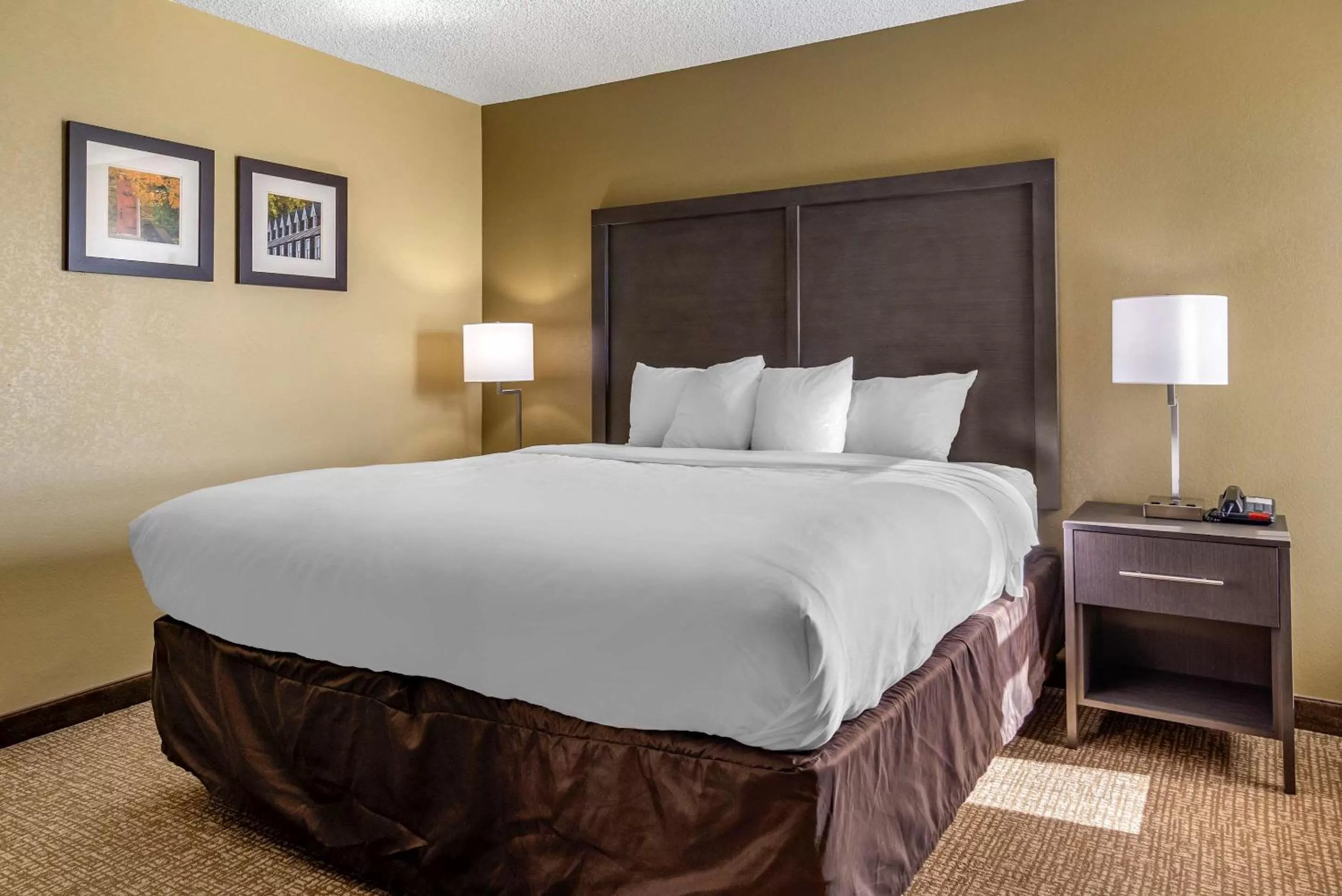 King Suite - Non-Smoking in Comfort Inn Opelika - Auburn