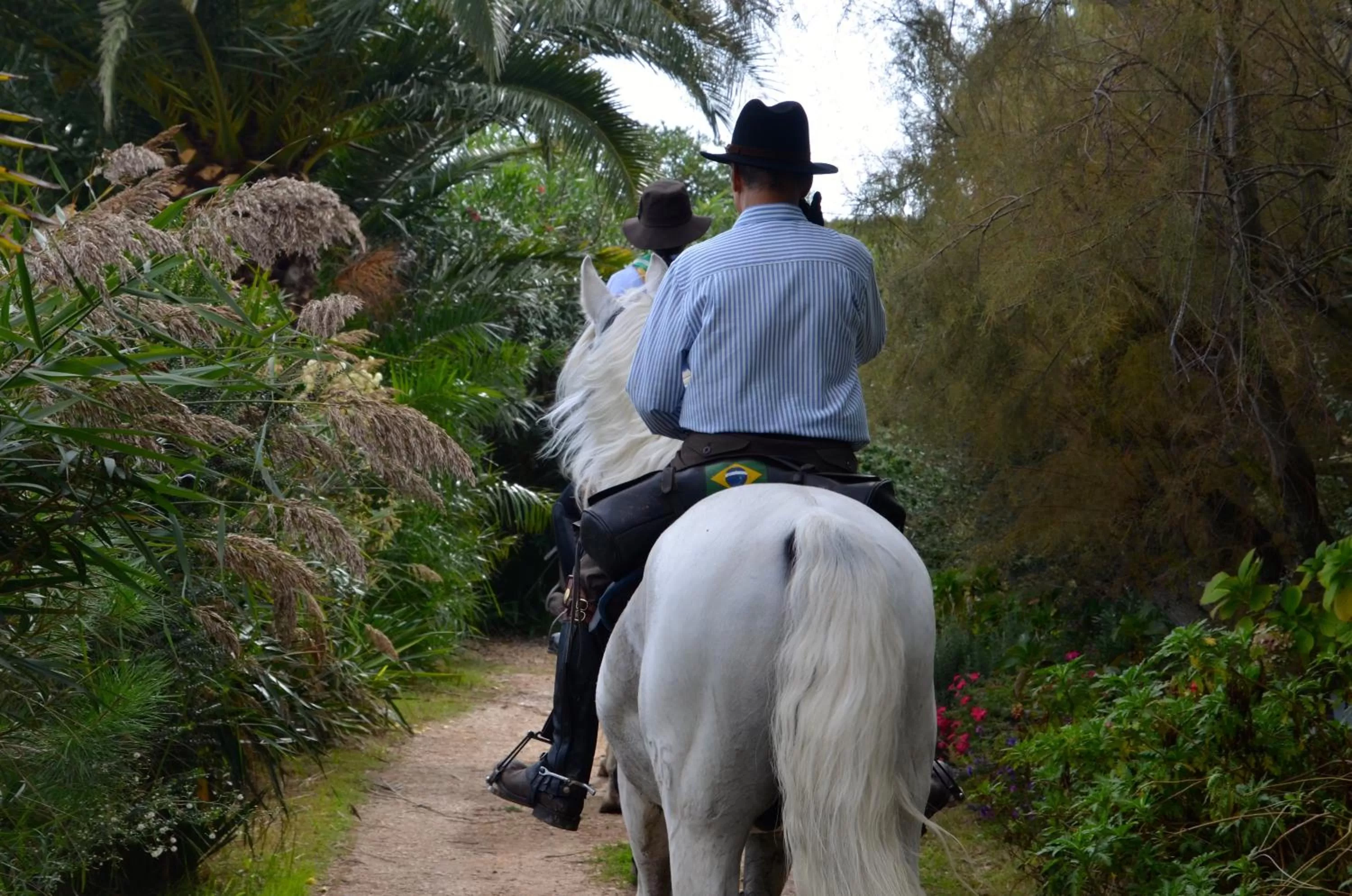 Horse-riding in Gites Chambres d'hotes Mazet du Maréchal Ferrant