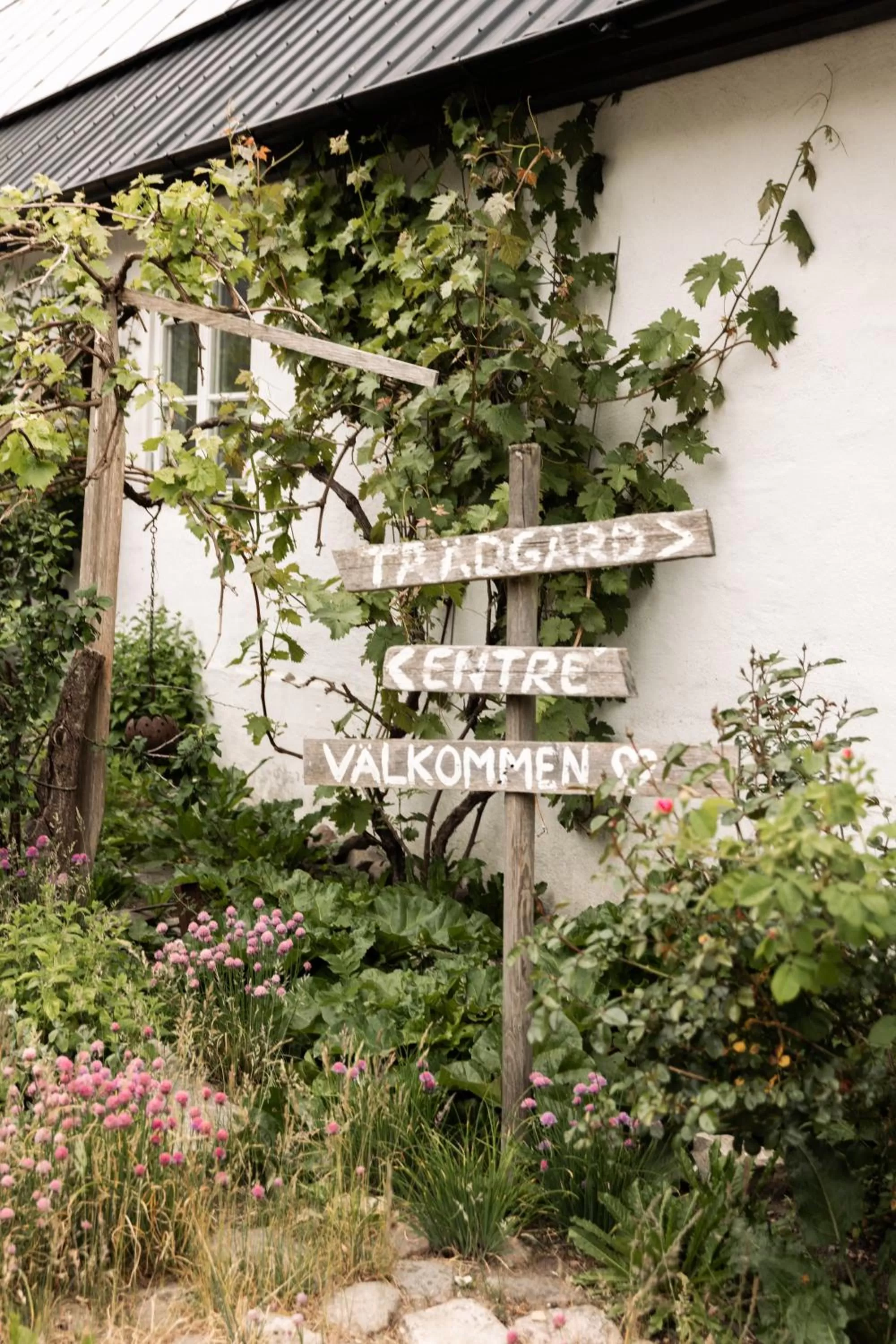 Inner courtyard view in Sköllengården