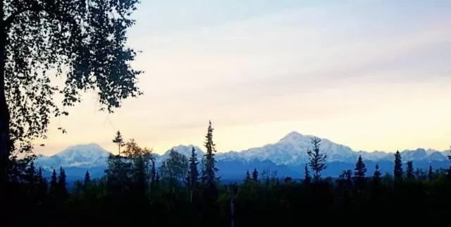 Natural landscape in Grace and Bill's Freedom Hills B&B