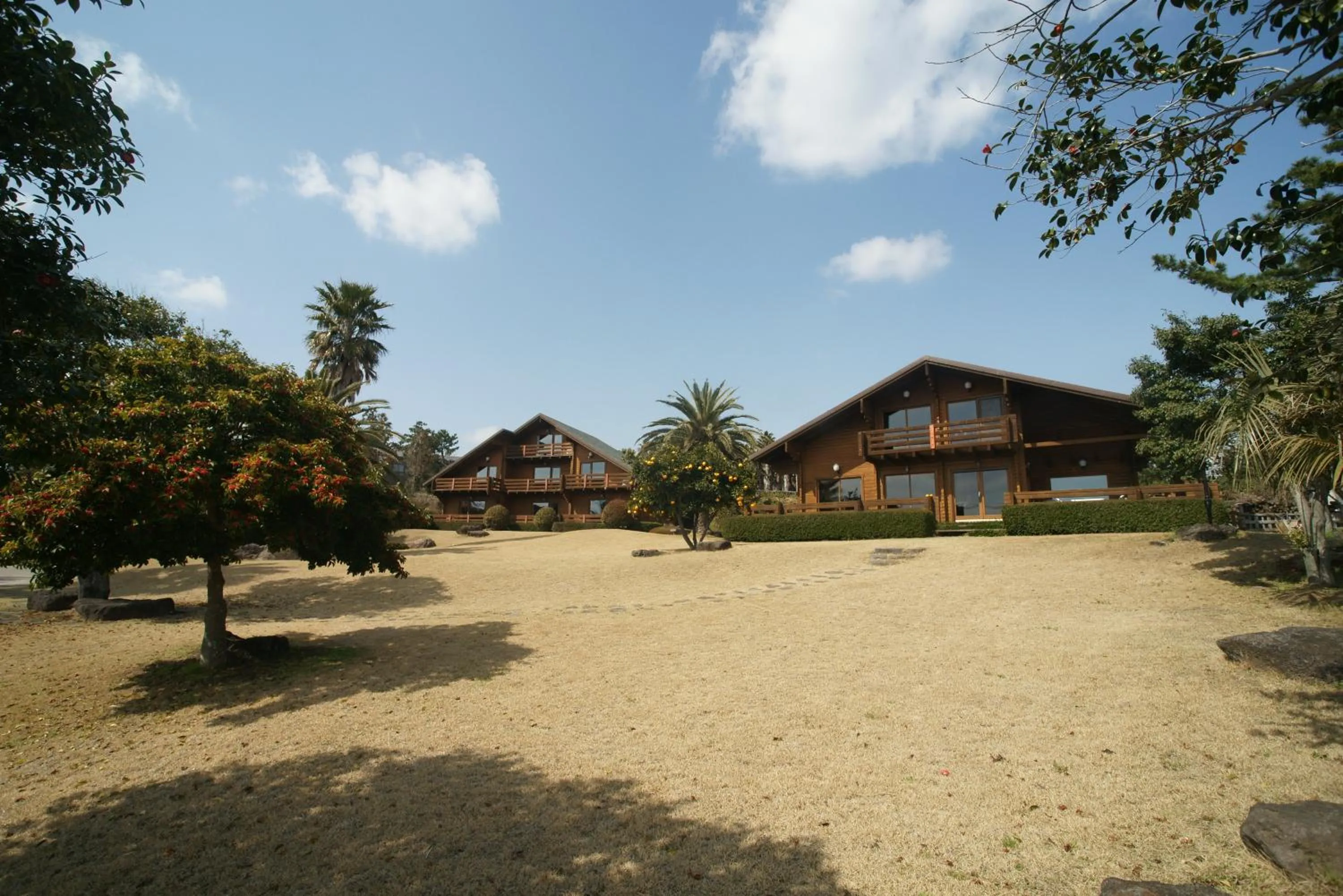 Property building in Sunny Day Jeju